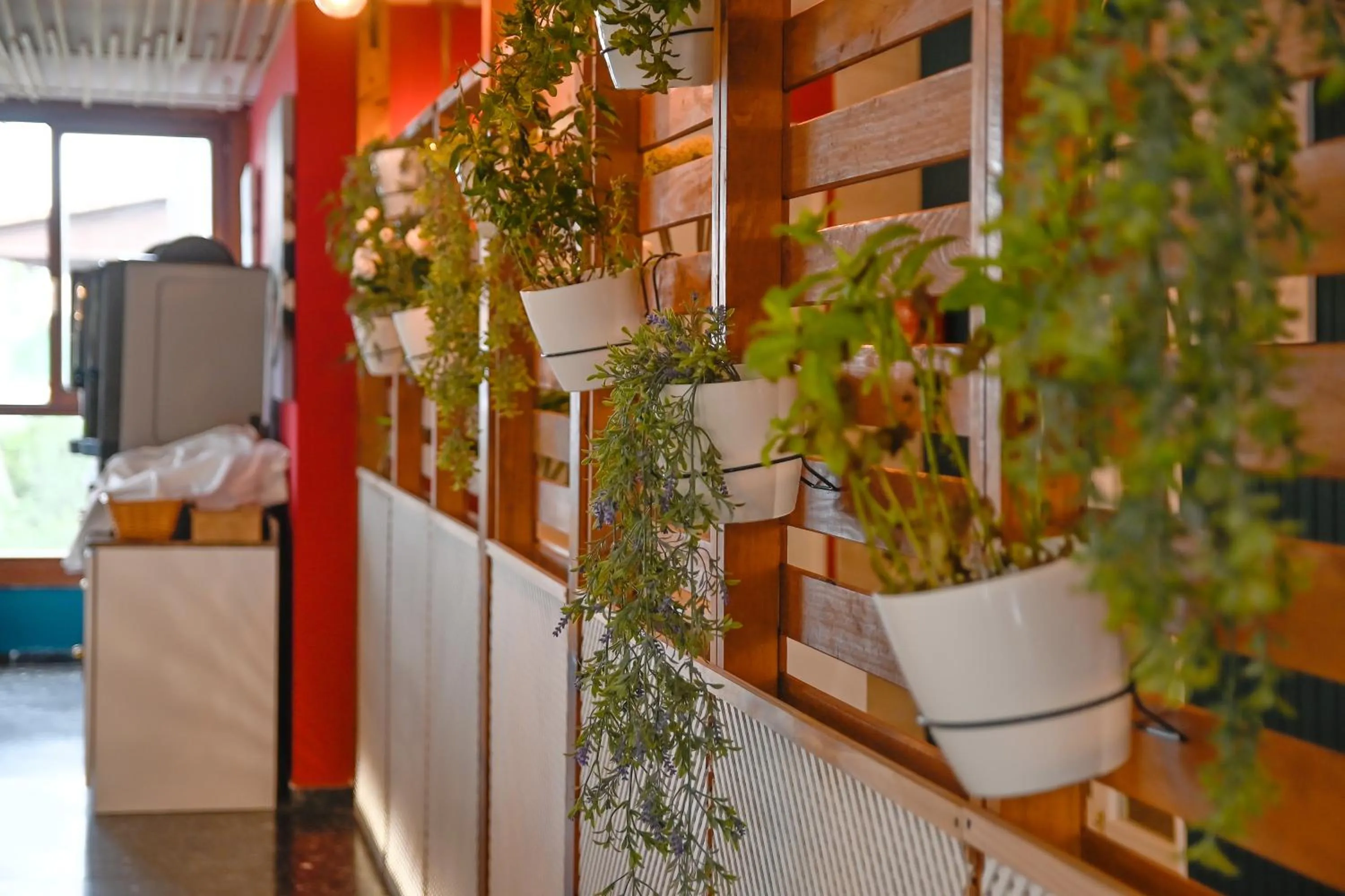 Buffet breakfast in Hotel Pinos Playa