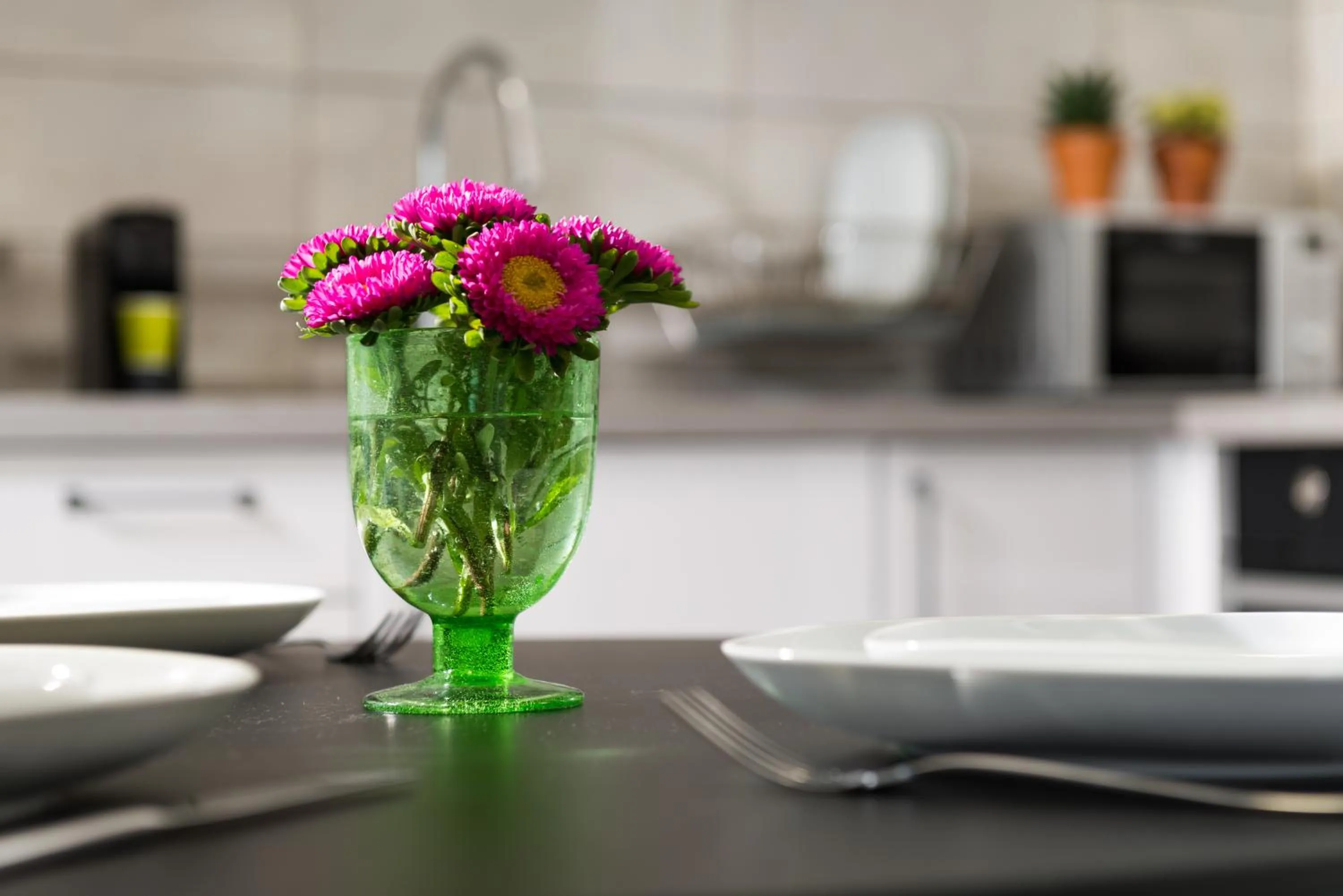 Kitchen or kitchenette in Herzl Boutique Hotel & Apartments by Domus