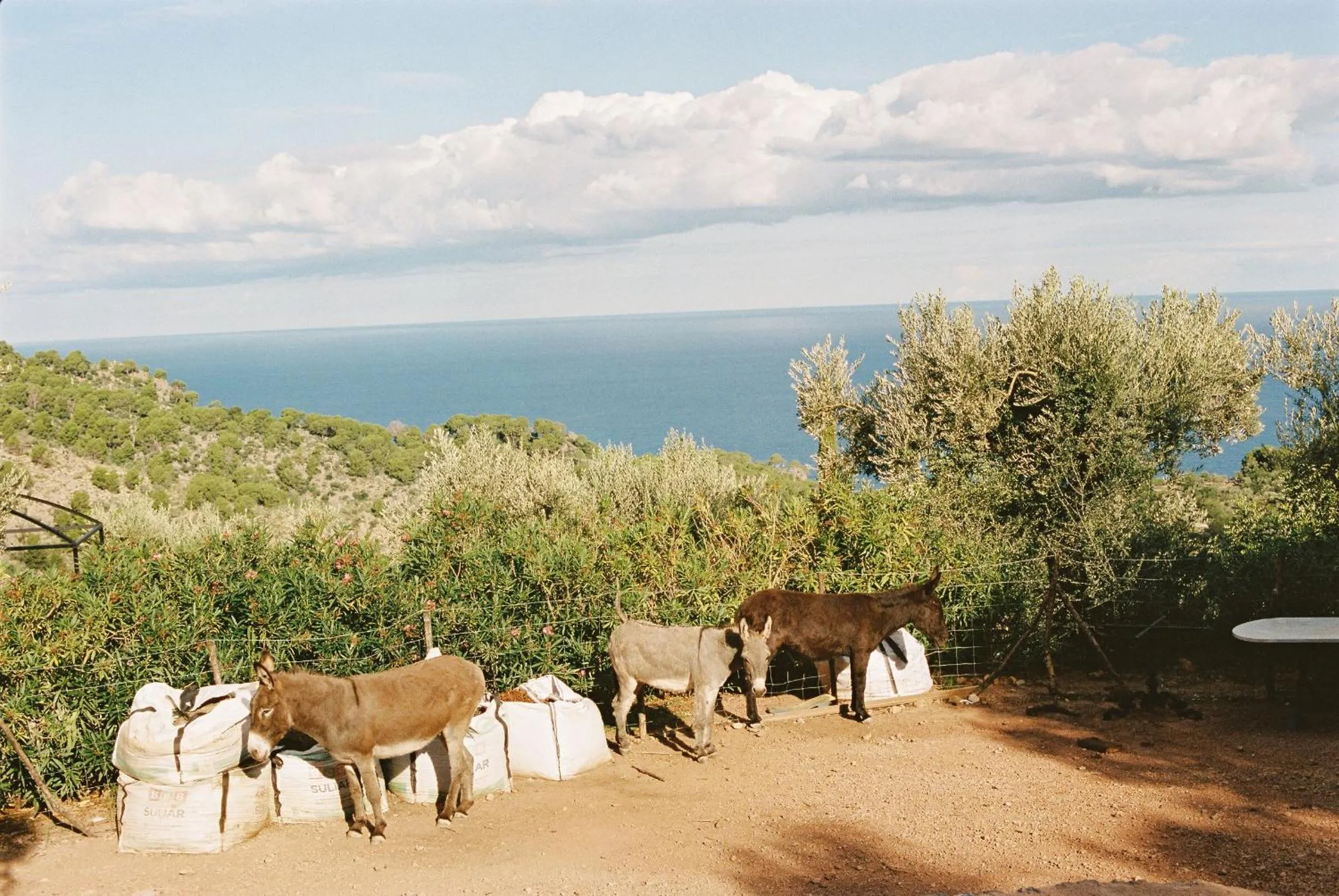 Activities in La Residencia, A Belmond Hotel, Mallorca