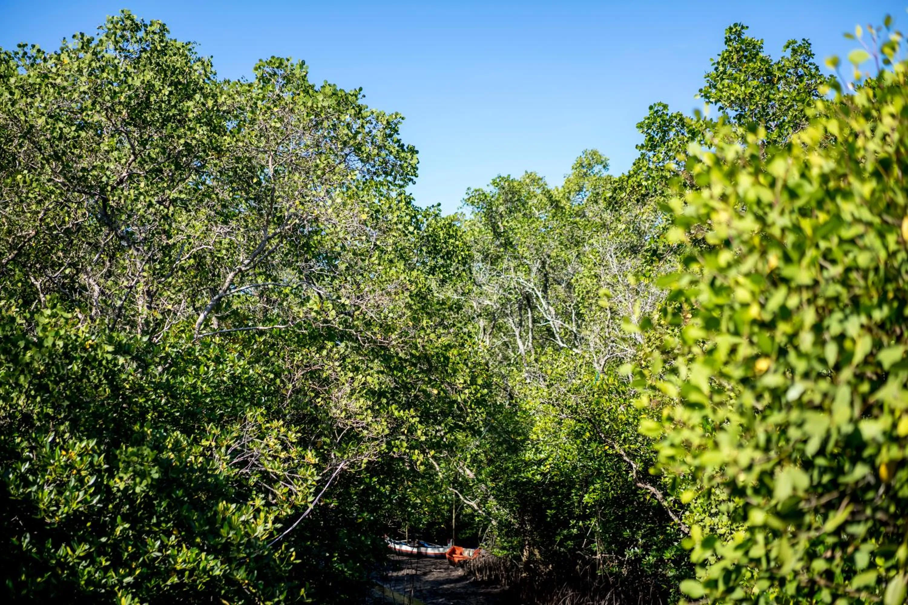 Natural landscape in iVilla by Ekosistem