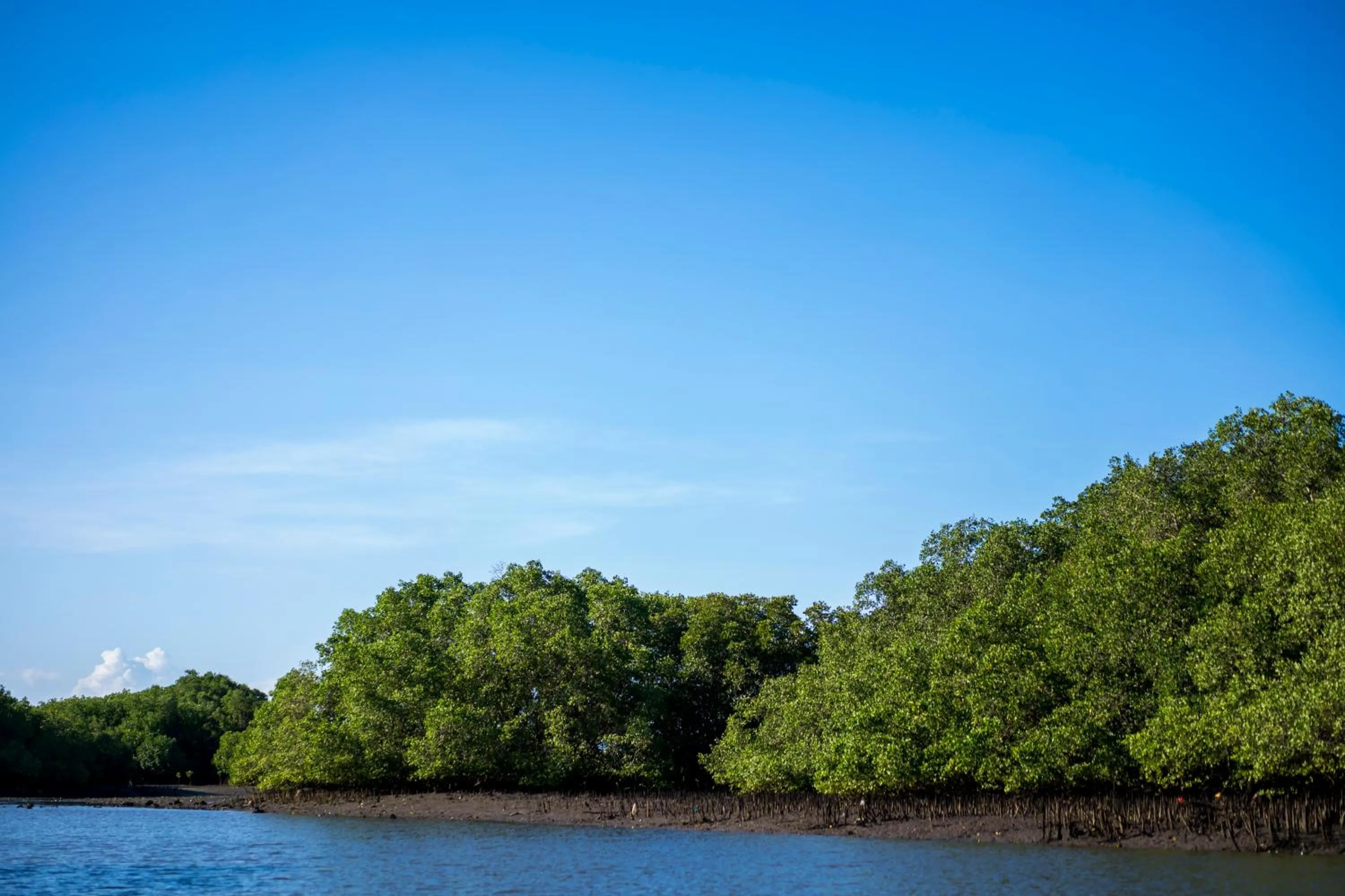 Natural landscape in iVilla by Ekosistem