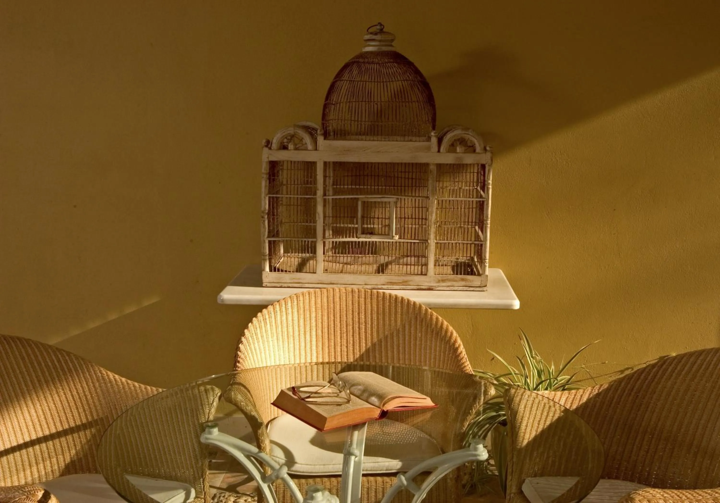 Balcony/Terrace in Villa Jerez