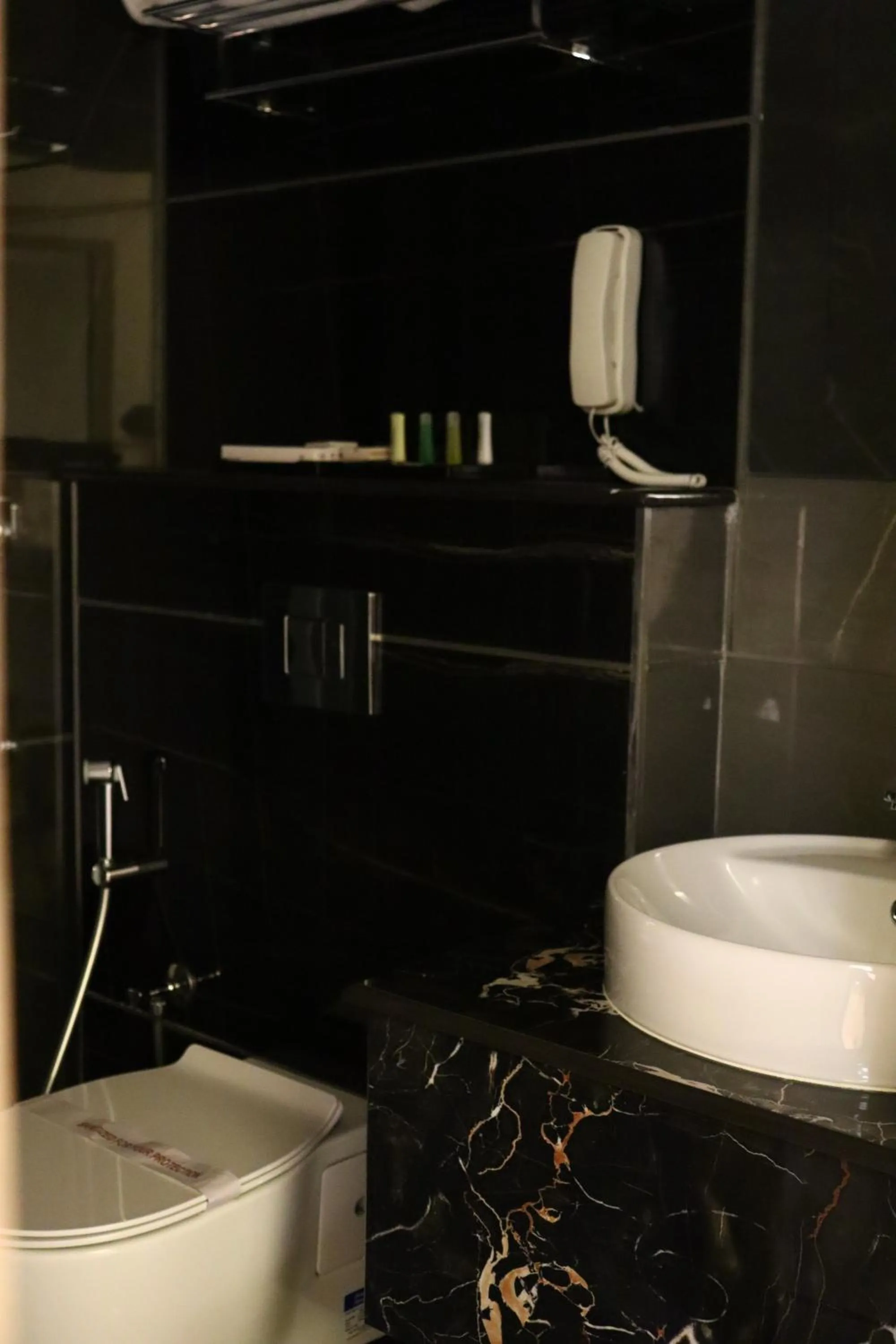 Bathroom in Capital Park Residency