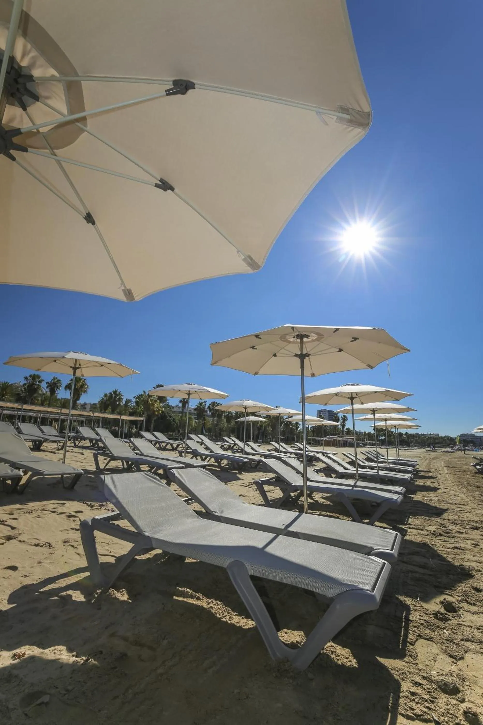 Restaurant/places to eat in Blaumar Hotel