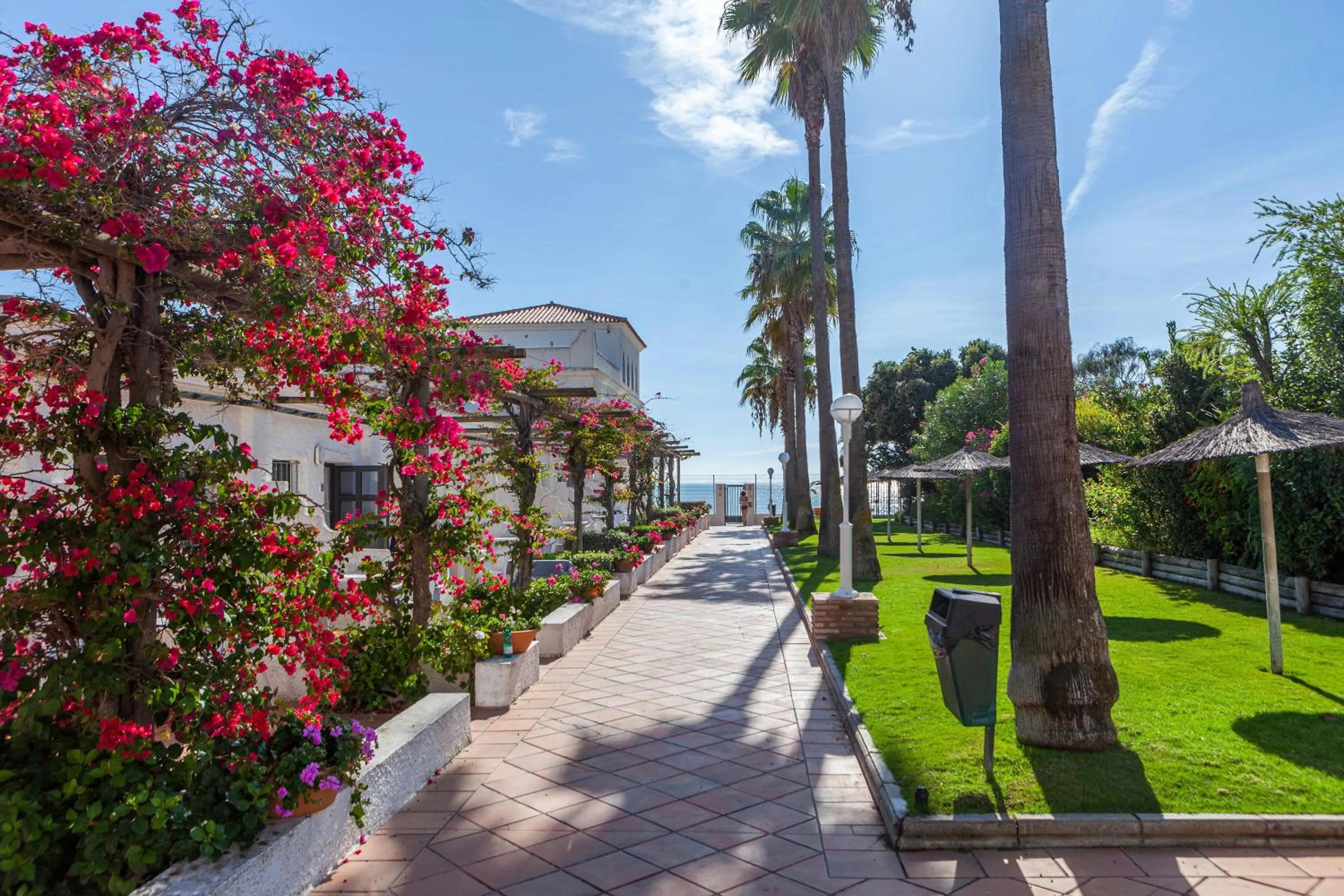 Garden in Playa de la Luz