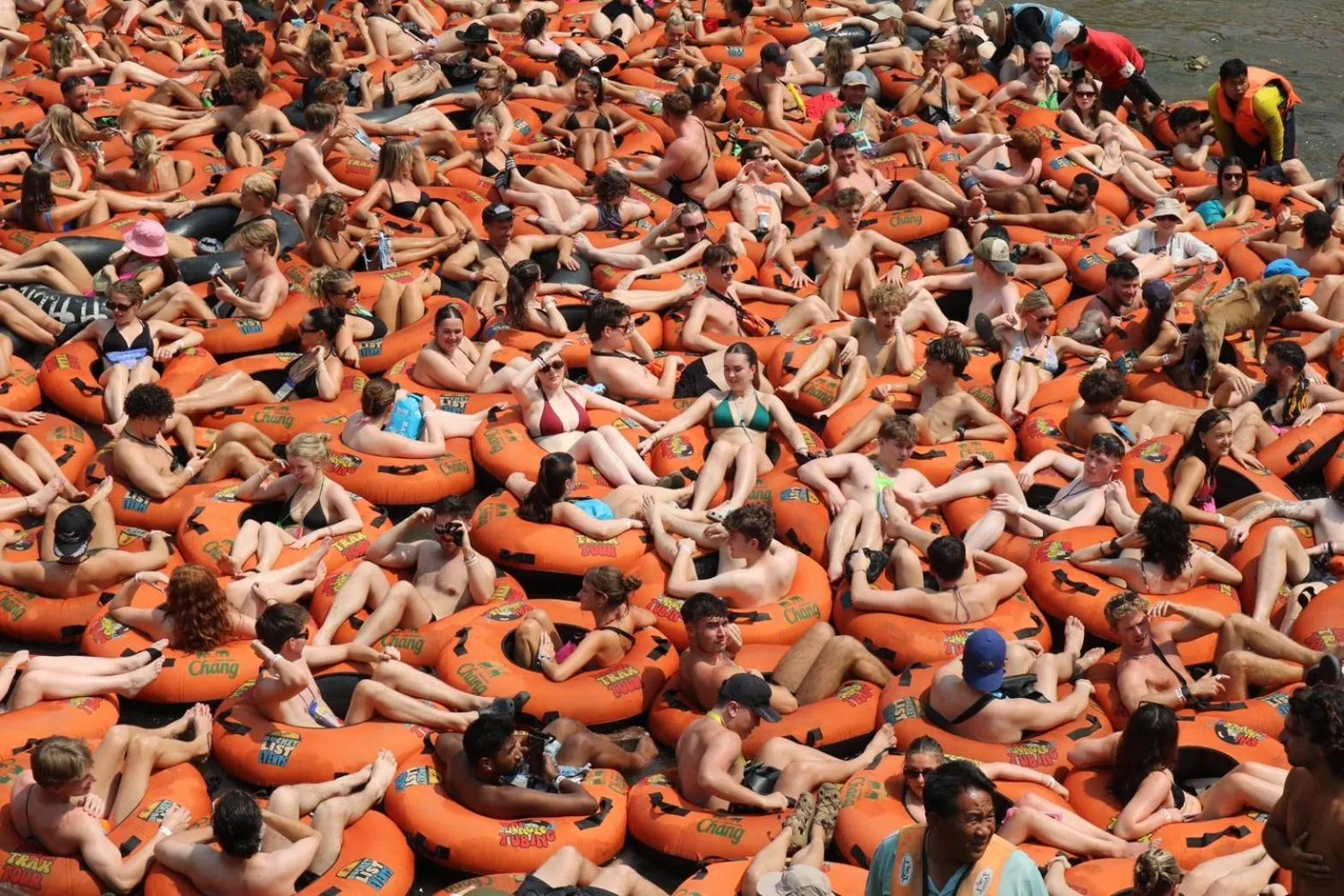 Revolution Hostel Pai