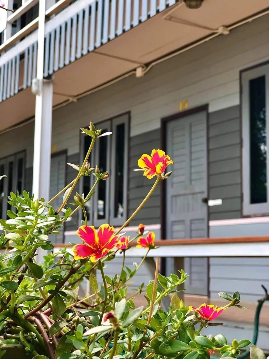 Patio in Revolution Hostel Pai