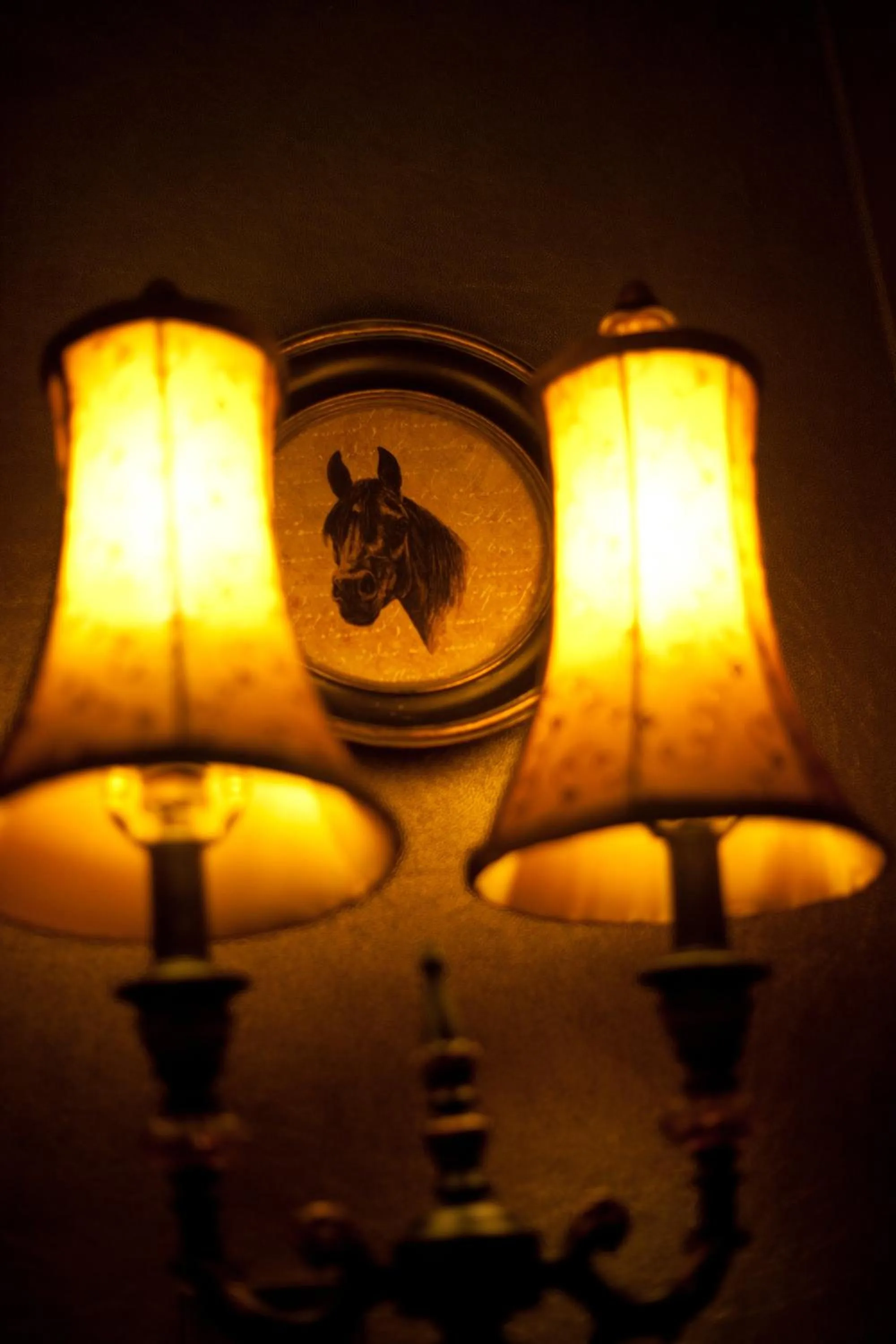 Other in The Plough Inn