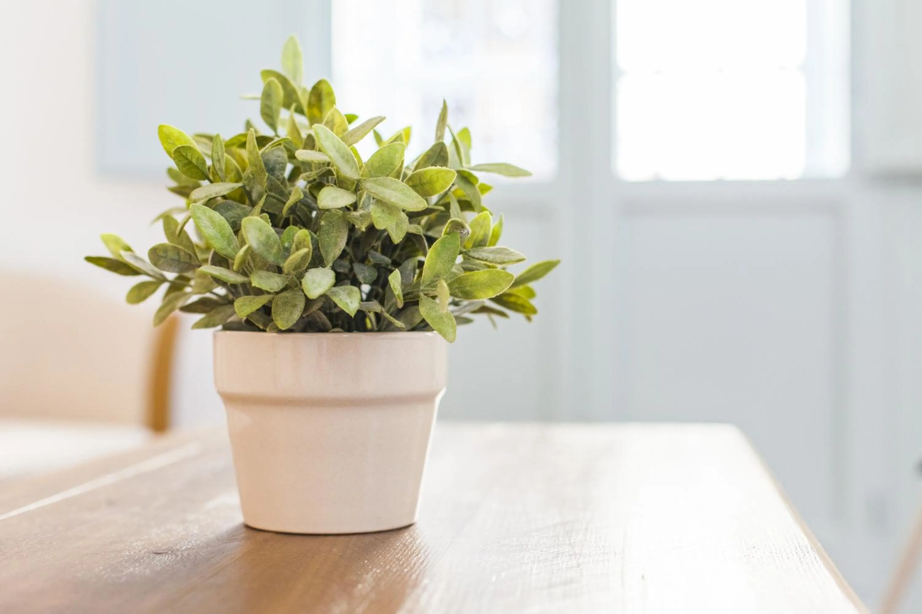 Decorative detail in Apartamentos Suites Santa Cruz
