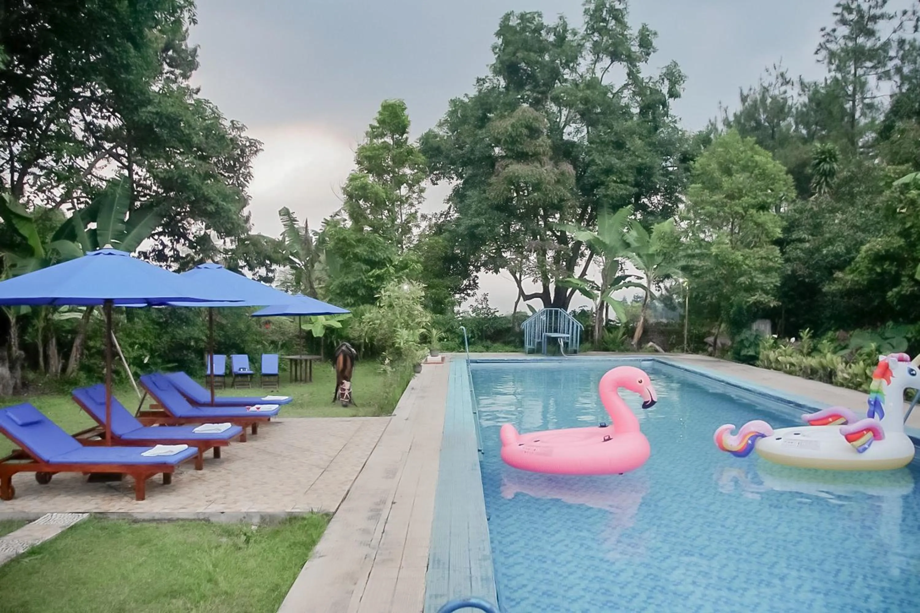 Swimming pool in RedDoorz near Taman Safari 2