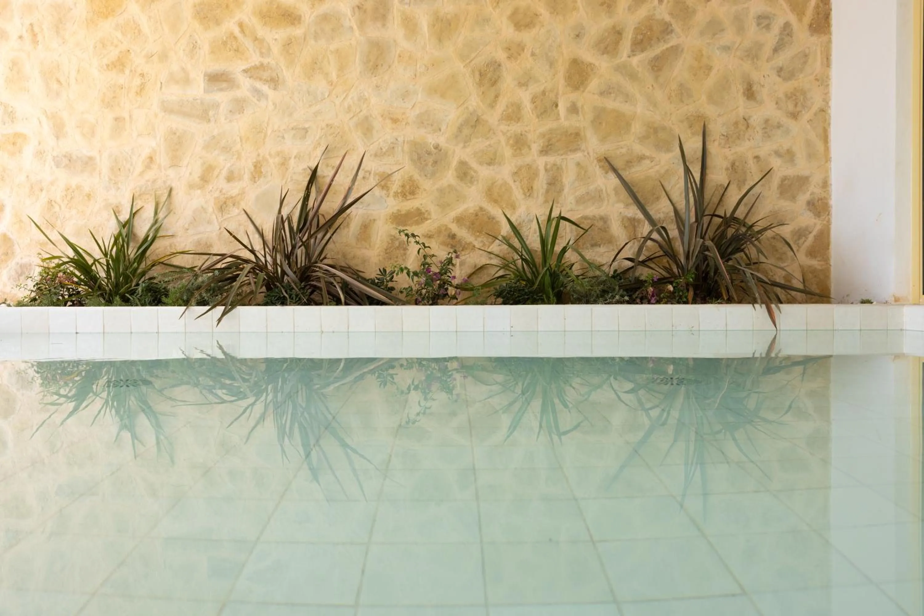 Lobby or reception in Inmood Aucanada 4 Sup - Adults Only