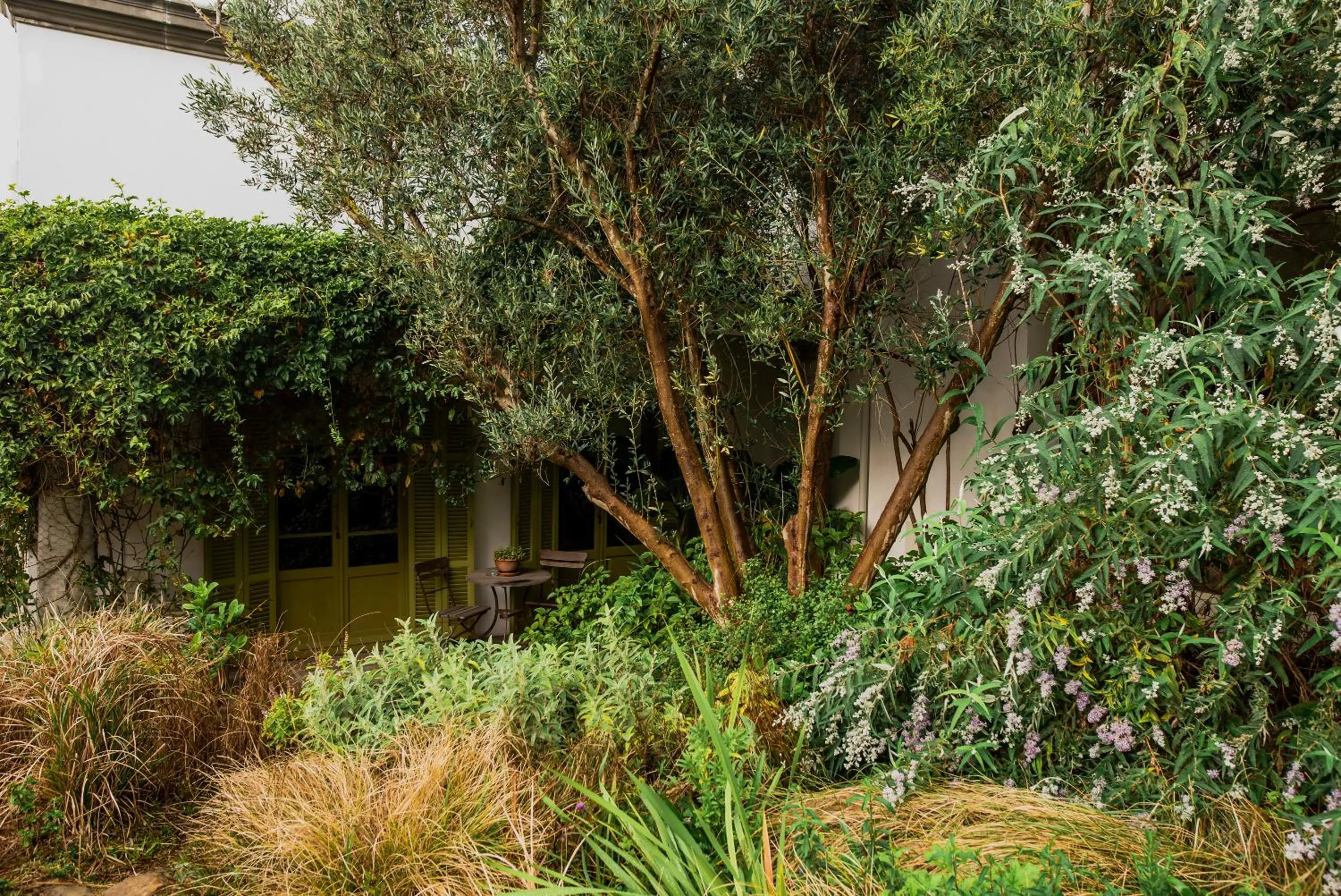 Garden in Dorp Hotel