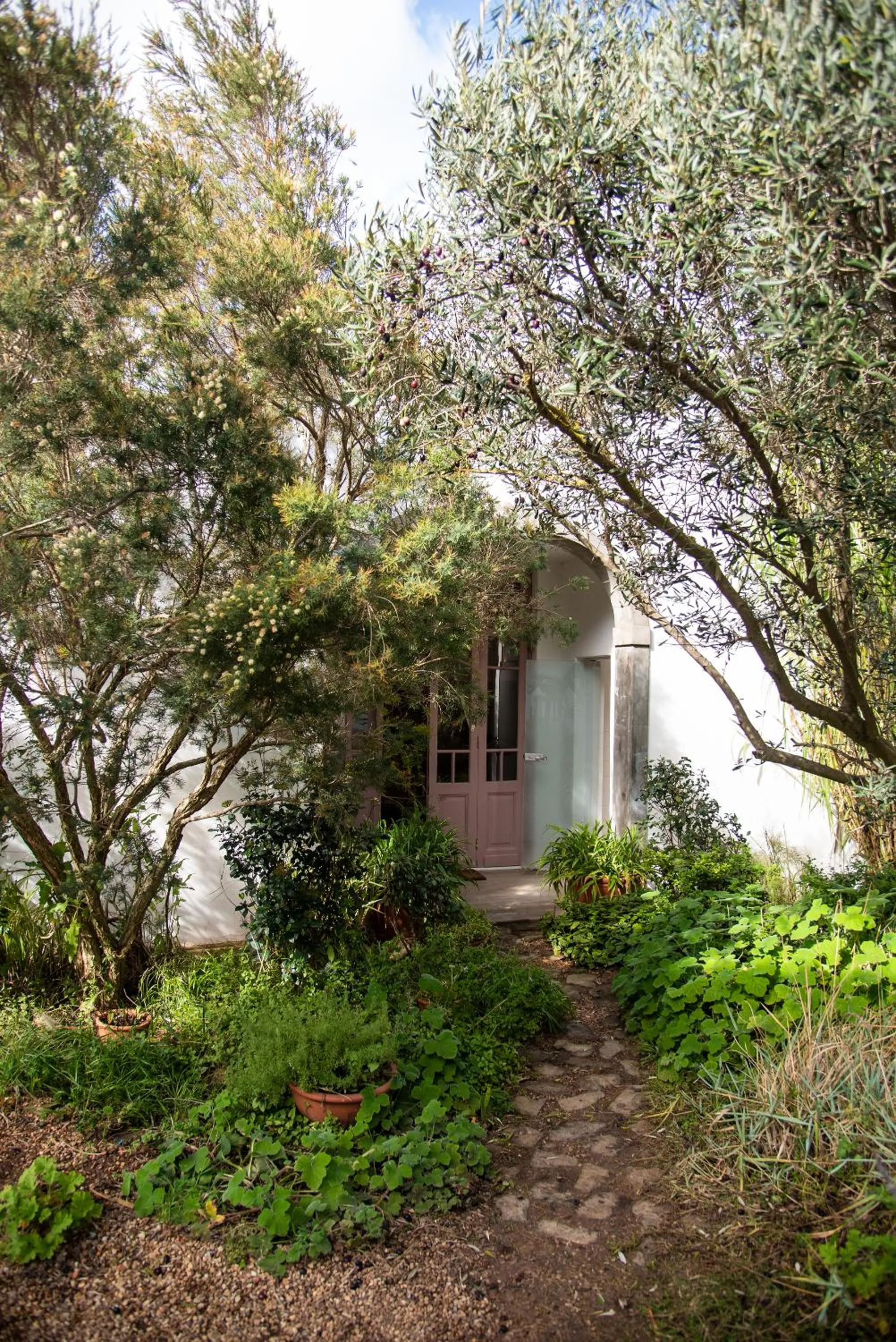 Garden in Dorp Hotel