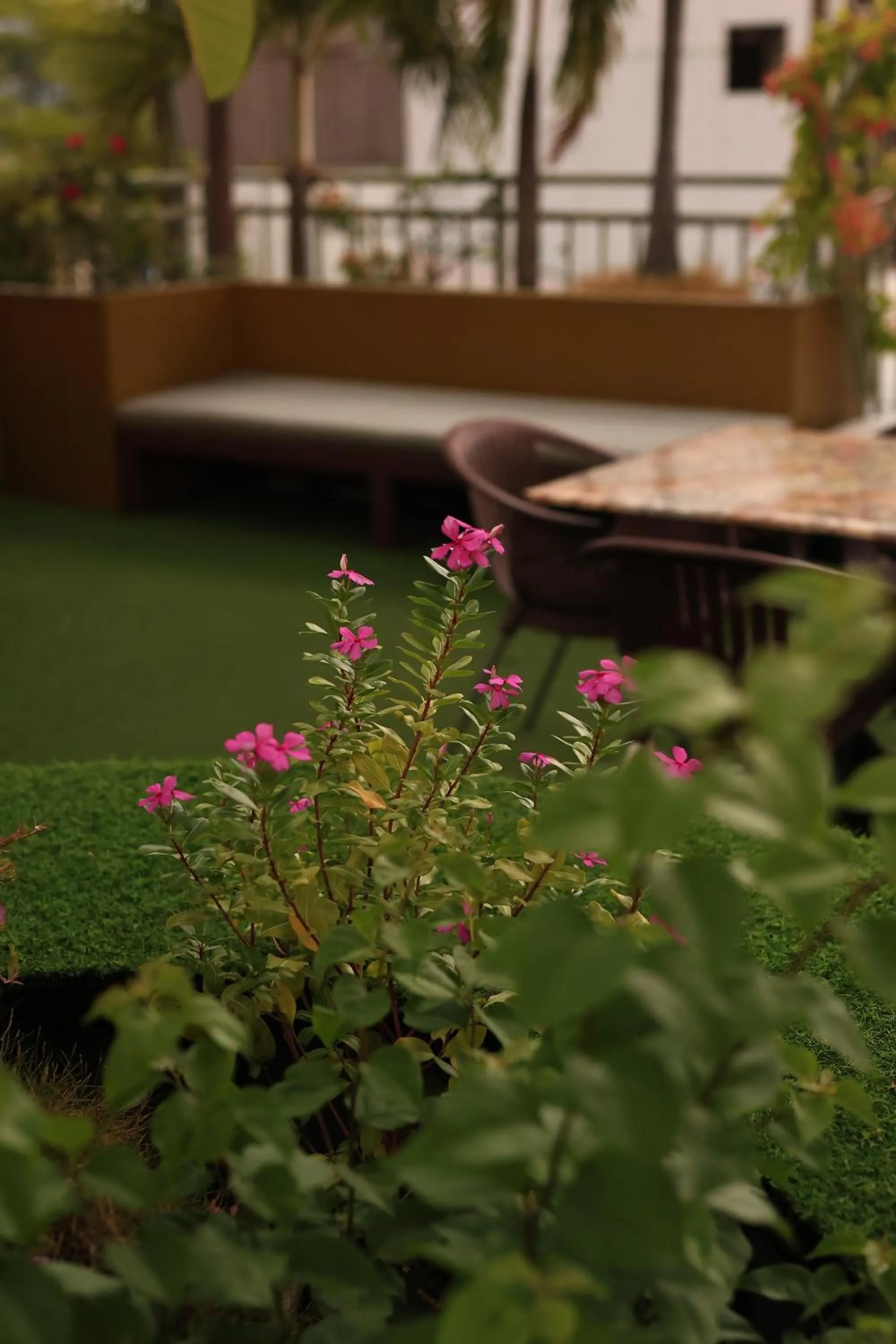 California Saigon Hotel & Rooftop Pool