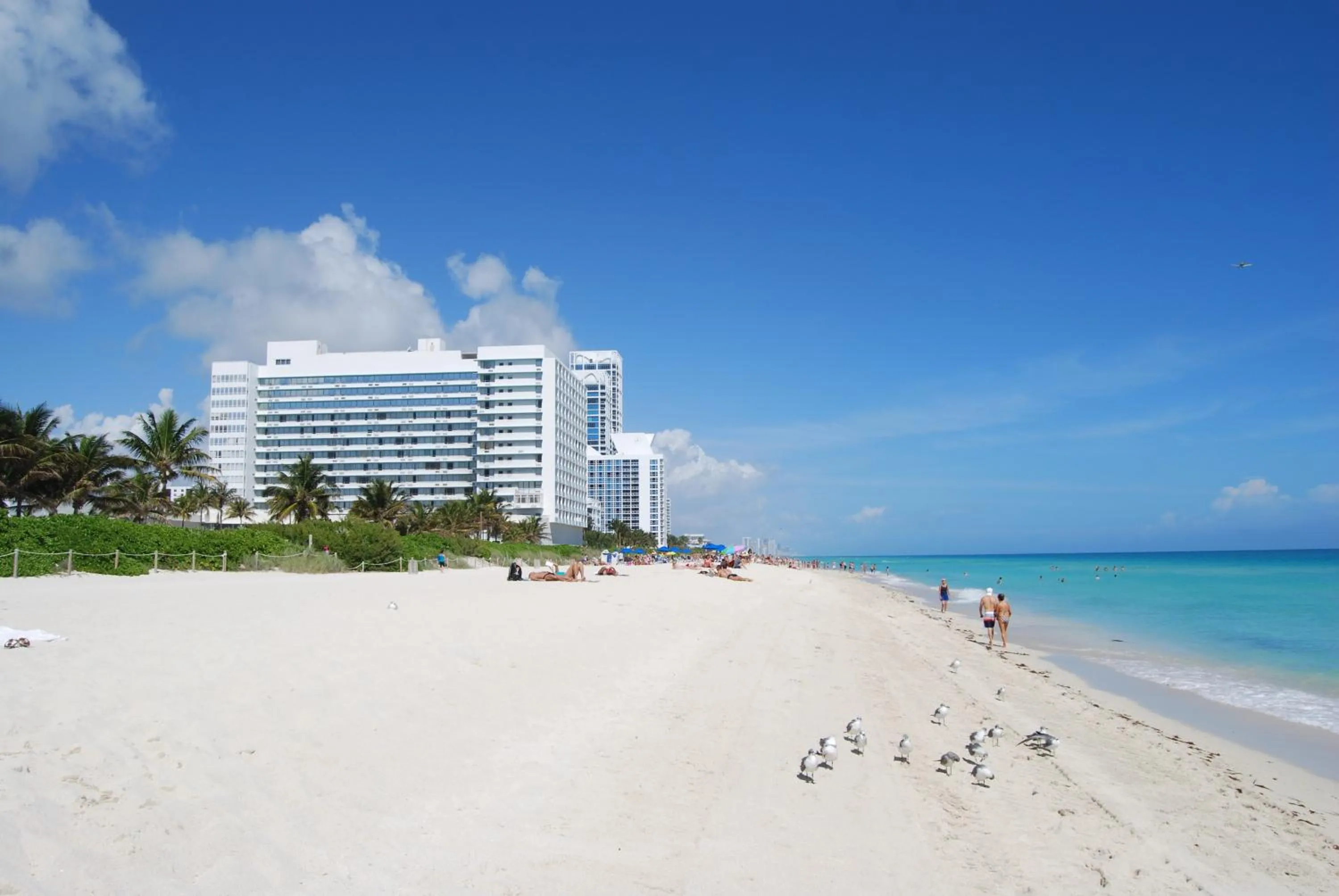 Beach in Monte Carlo by Miami Vacations