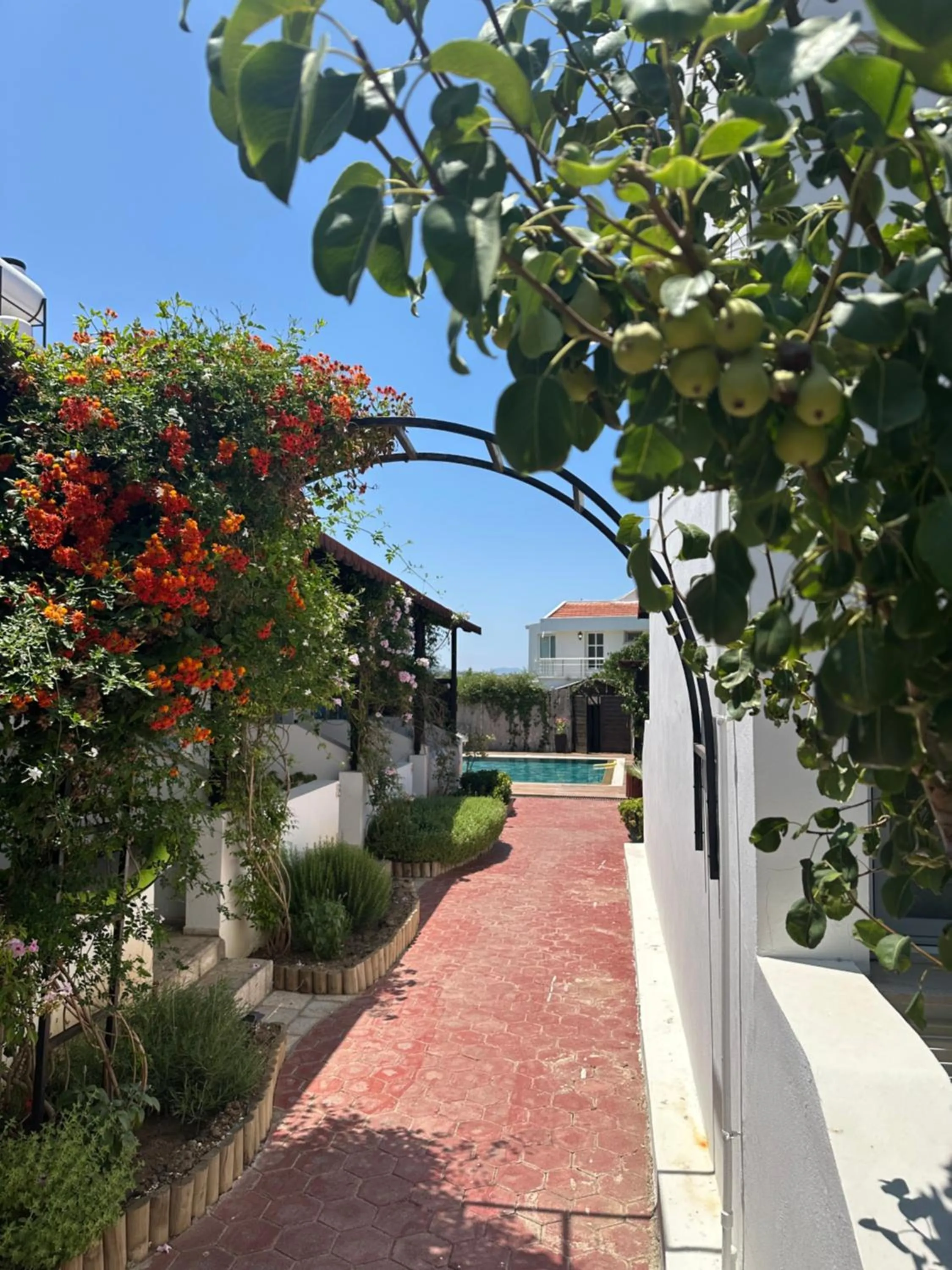 Garden in Sunside Inn Hotel
