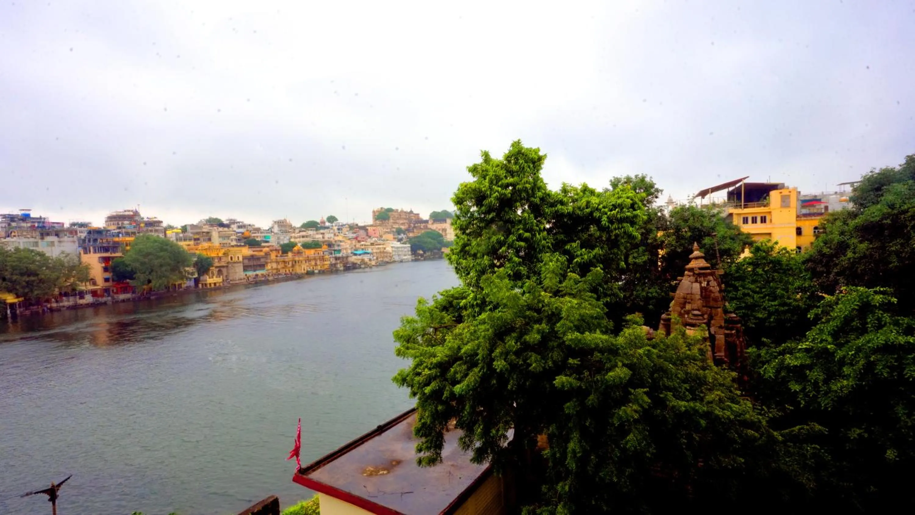 View (from property/room) in Jungle by sturmfrei Udaipur