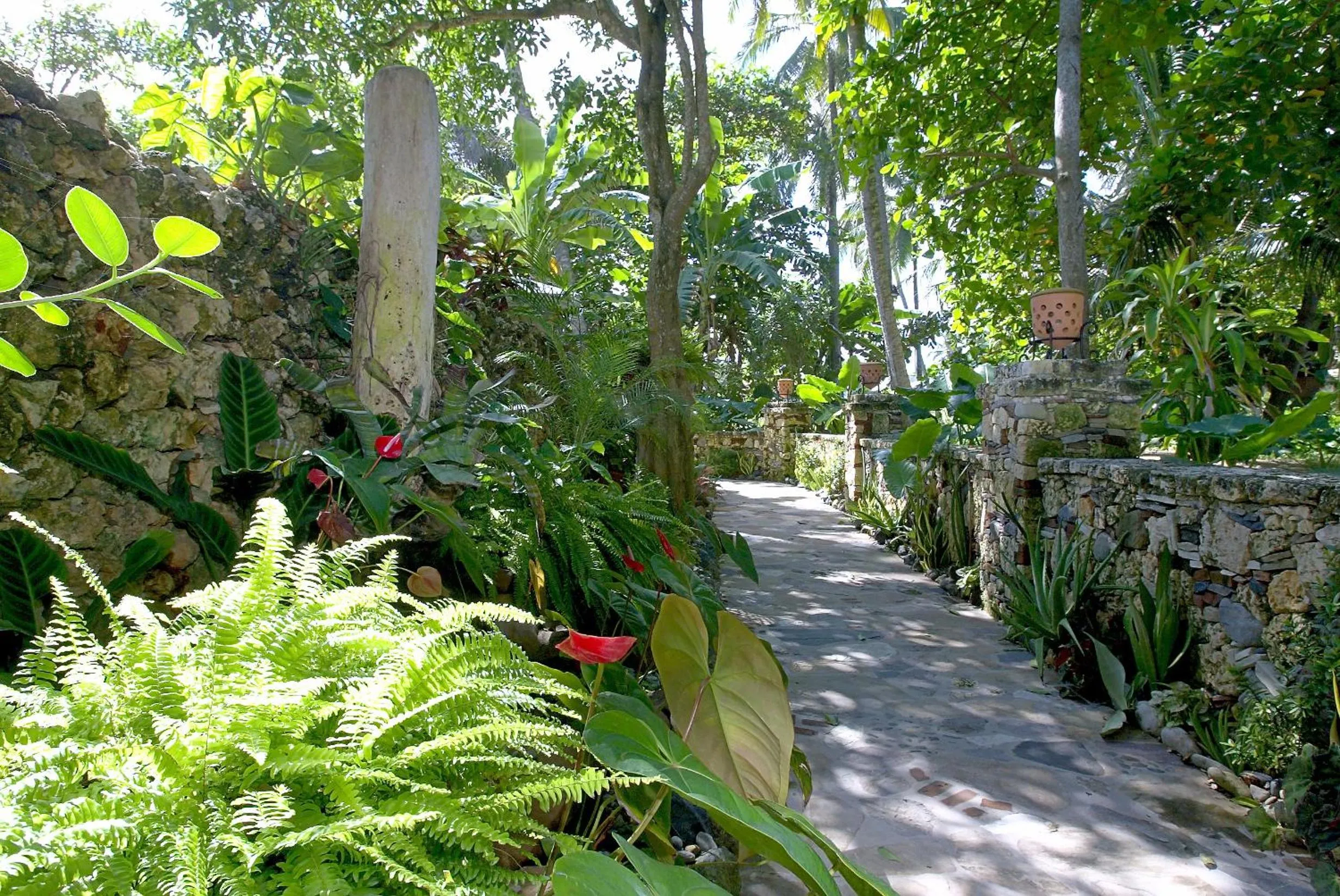 Garden in El Magnifico
