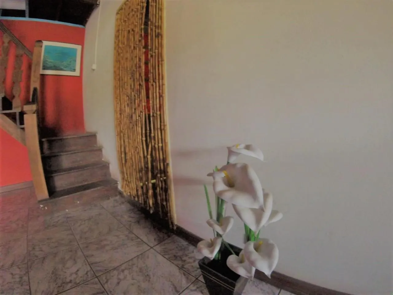 Facade/entrance in Vibe Hostel Paraty