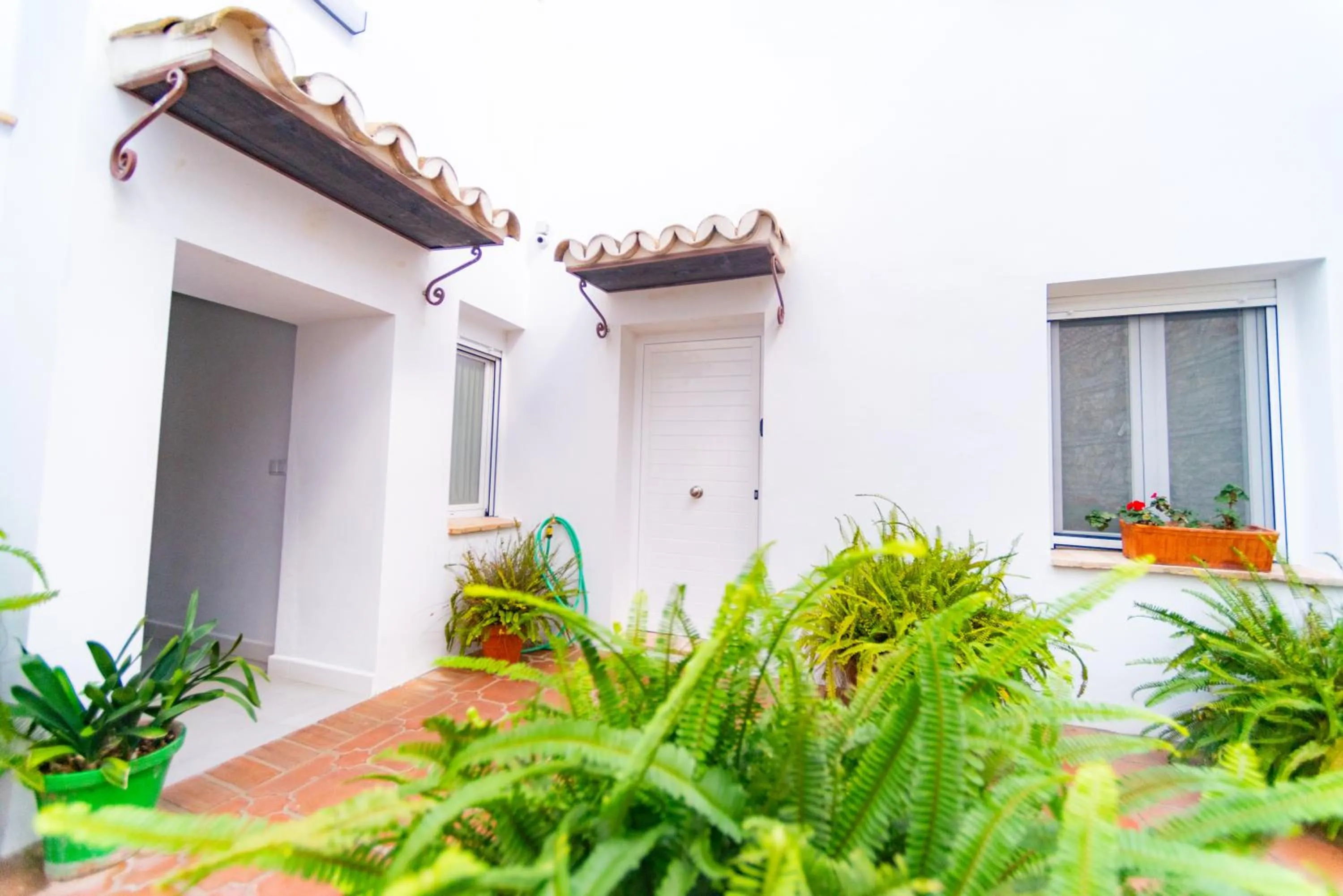 Patio in Suites Casa San Mateo