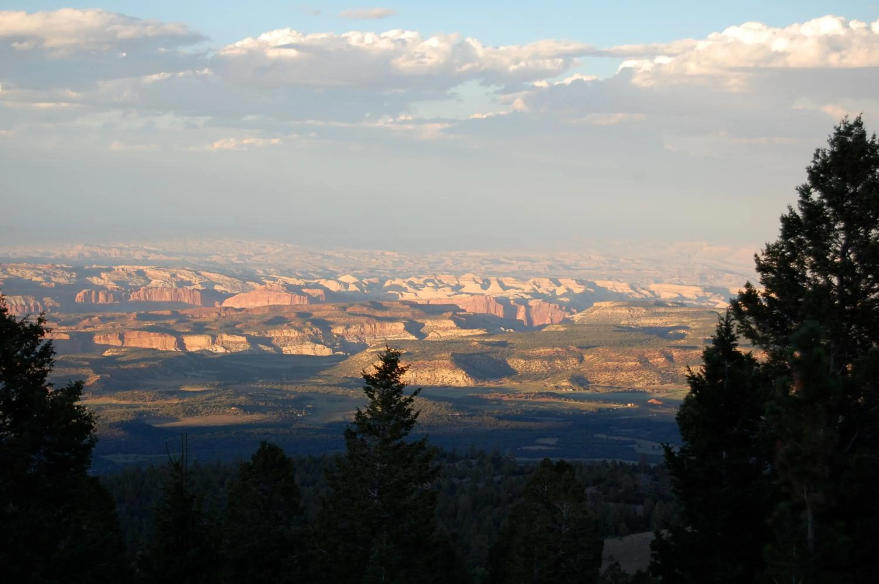 Area and facilities in The Rim Rock Inn