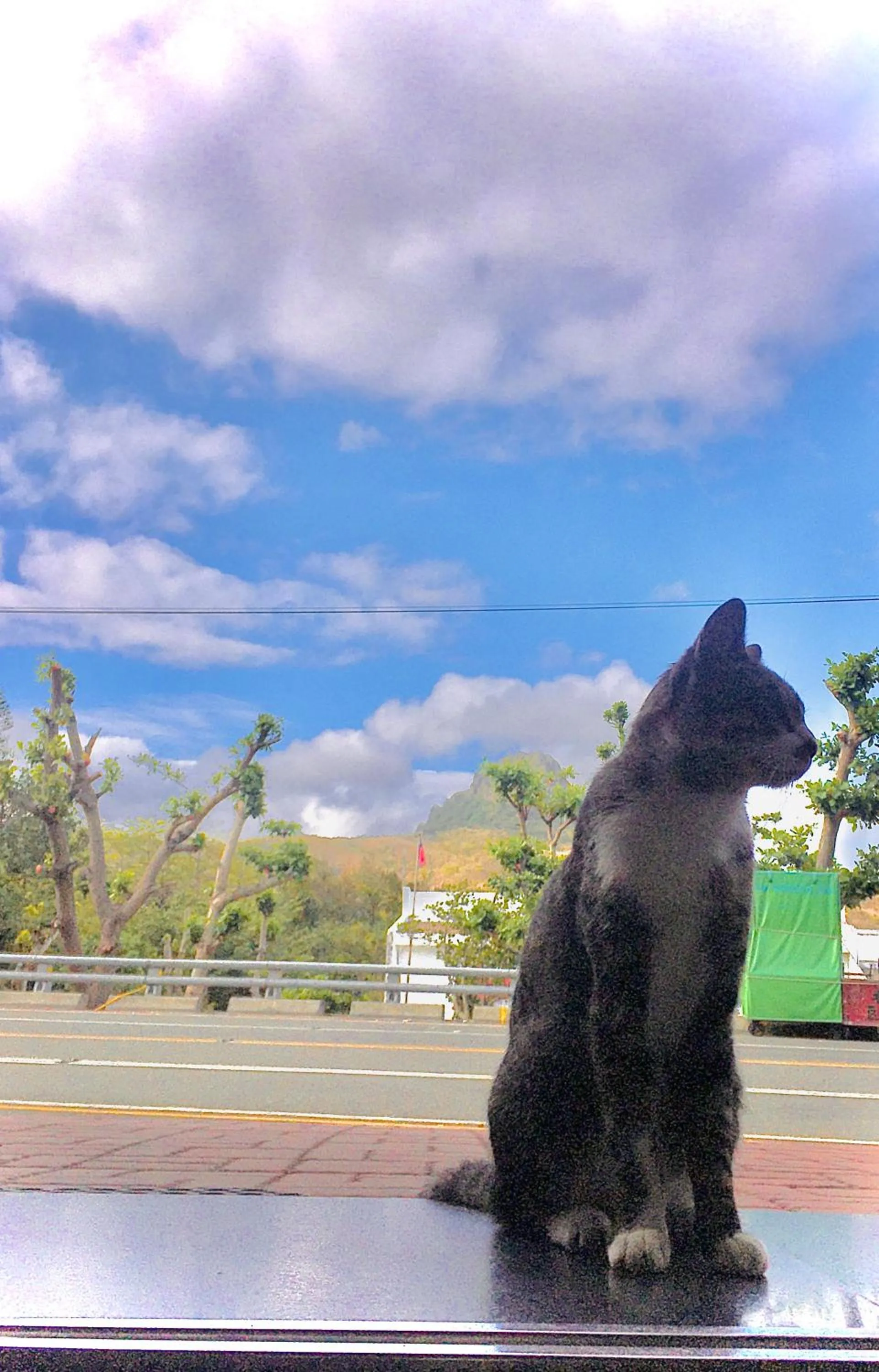 Pets in 墾丁大街Kenting Night Market-福賓別館 Fu Bin Inn免費停車