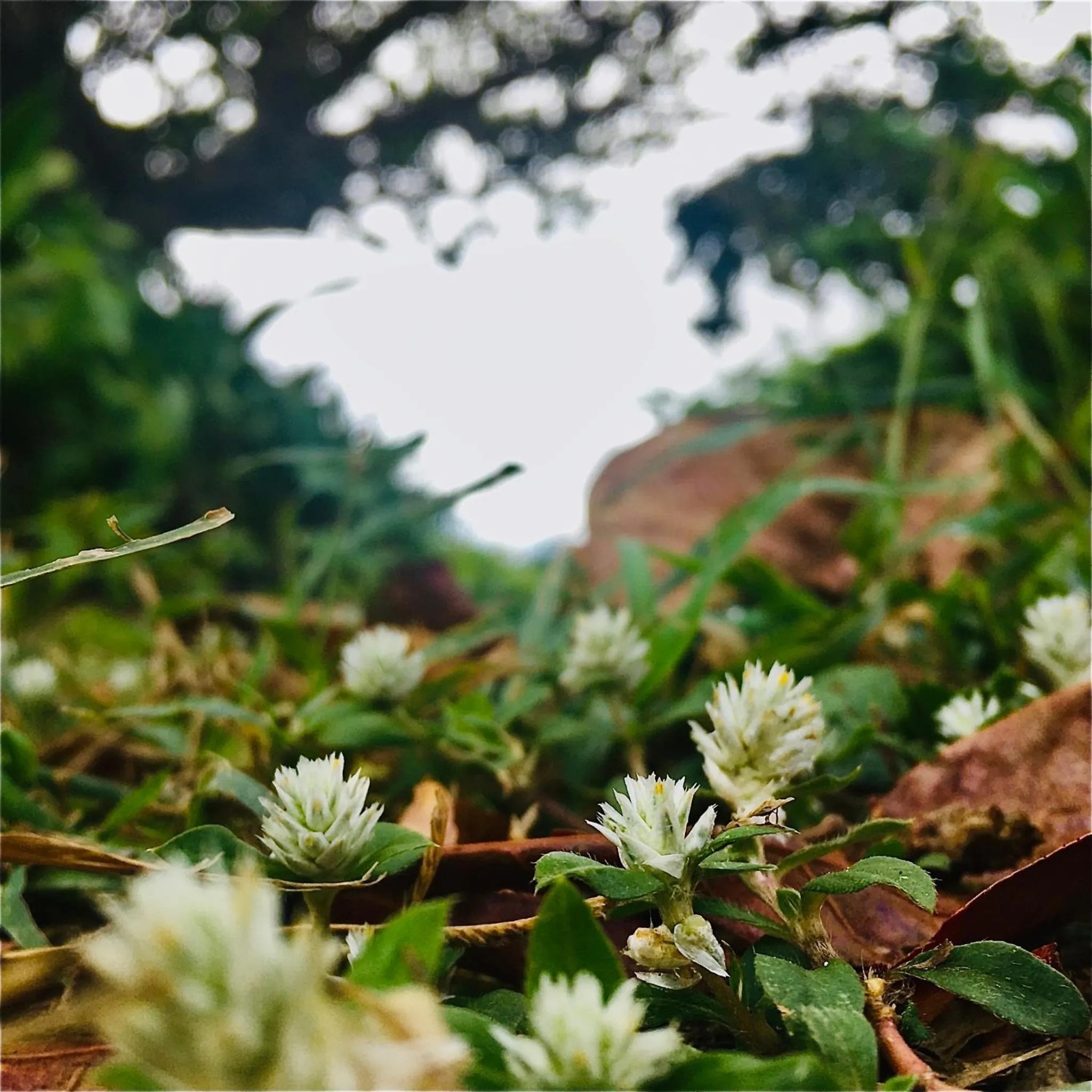 Natural landscape in 墾丁大街Kenting Night Market-福賓別館 Fu Bin Inn免費停車