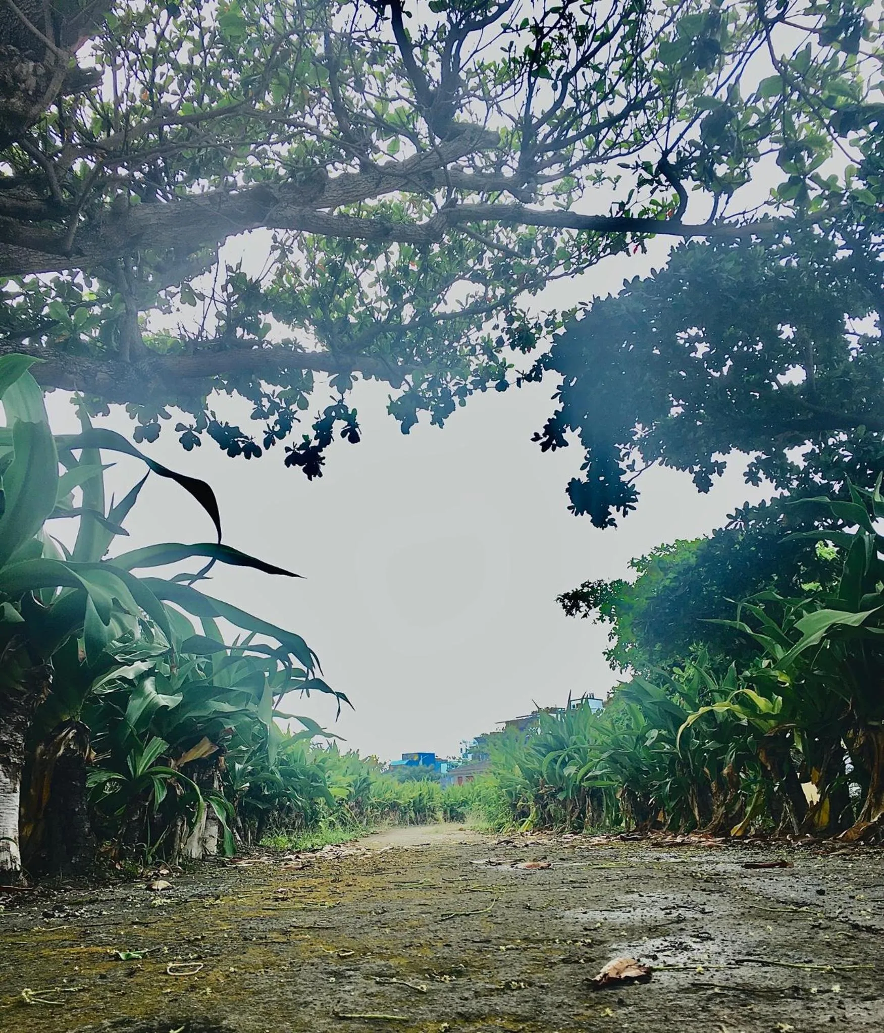 Natural landscape in 墾丁大街Kenting Night Market-福賓別館 Fu Bin Inn免費停車