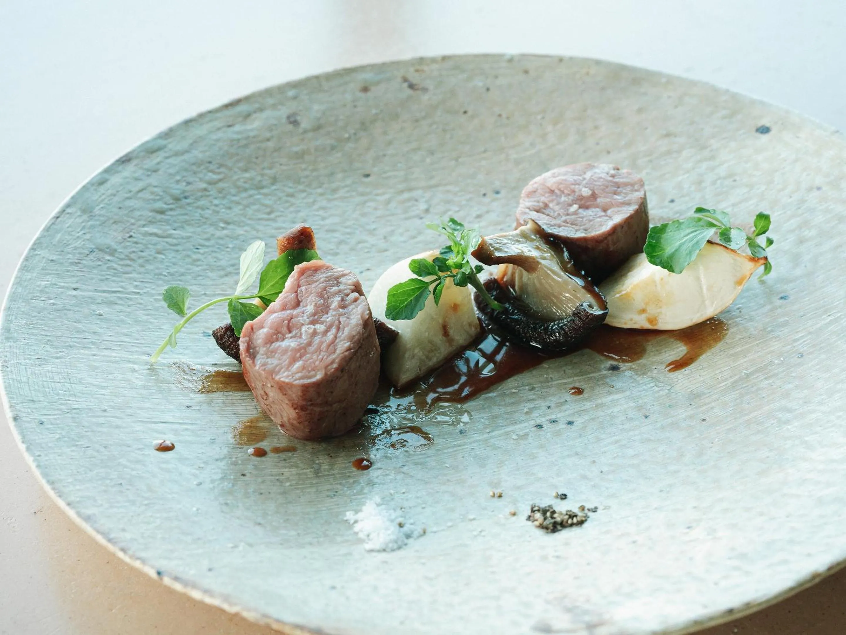 Food close-up in SNOW PEAK FIELD SUITE SPA HEADQUARTERS