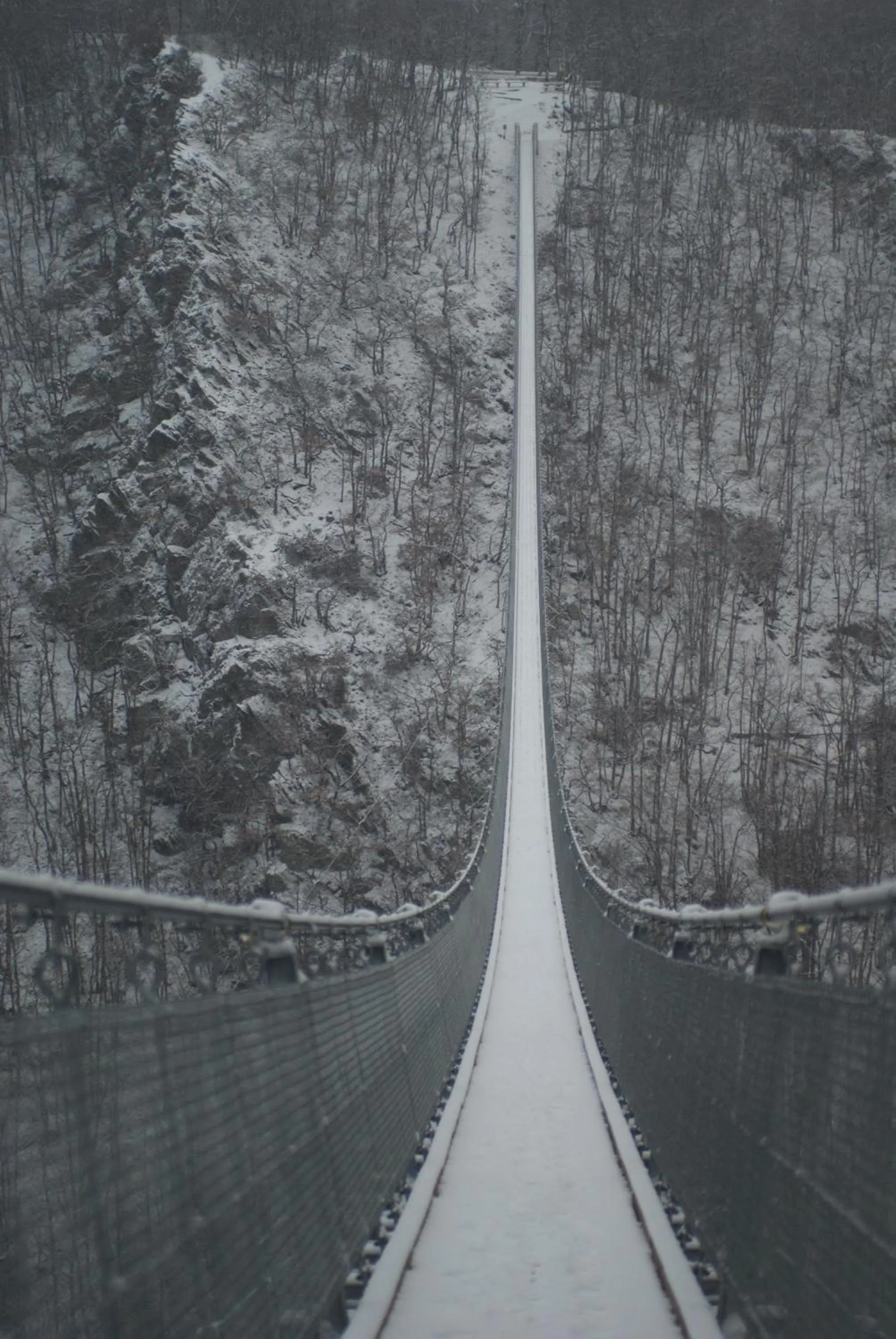Natural landscape in Gasthof Zuck
