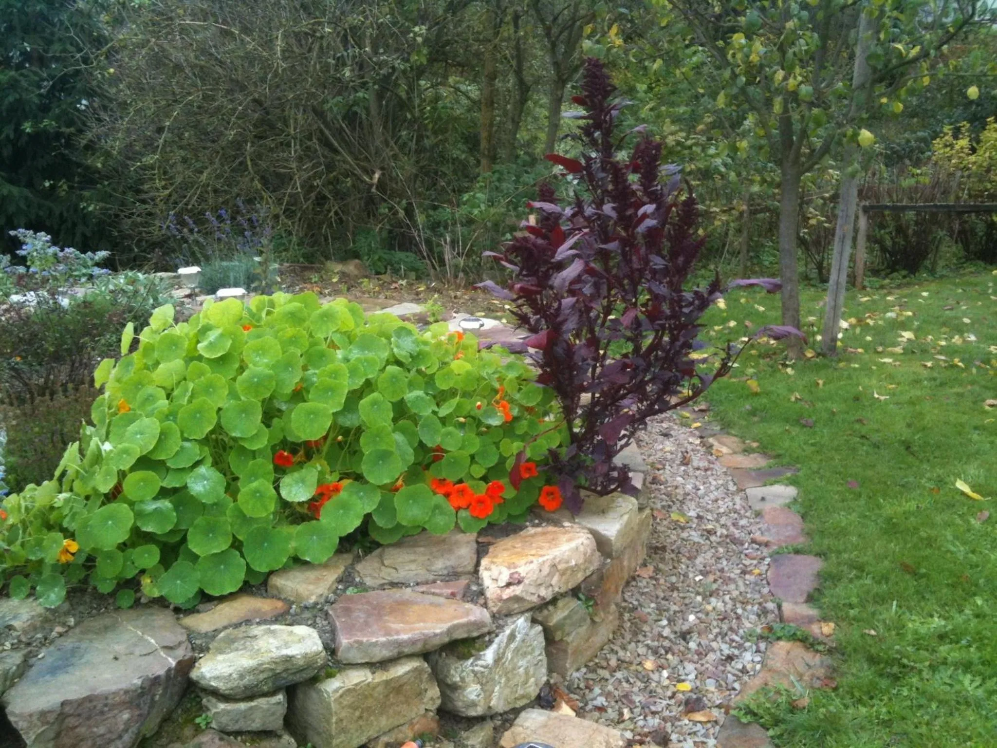 Garden in Gasthof Zuck