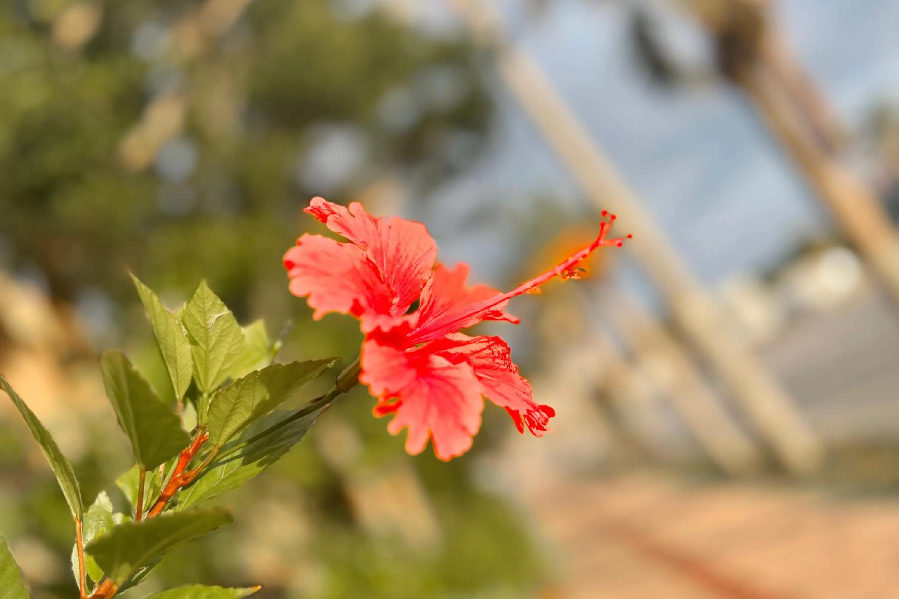 Nearby landmark in La Hacienda Marina Bay Chatan