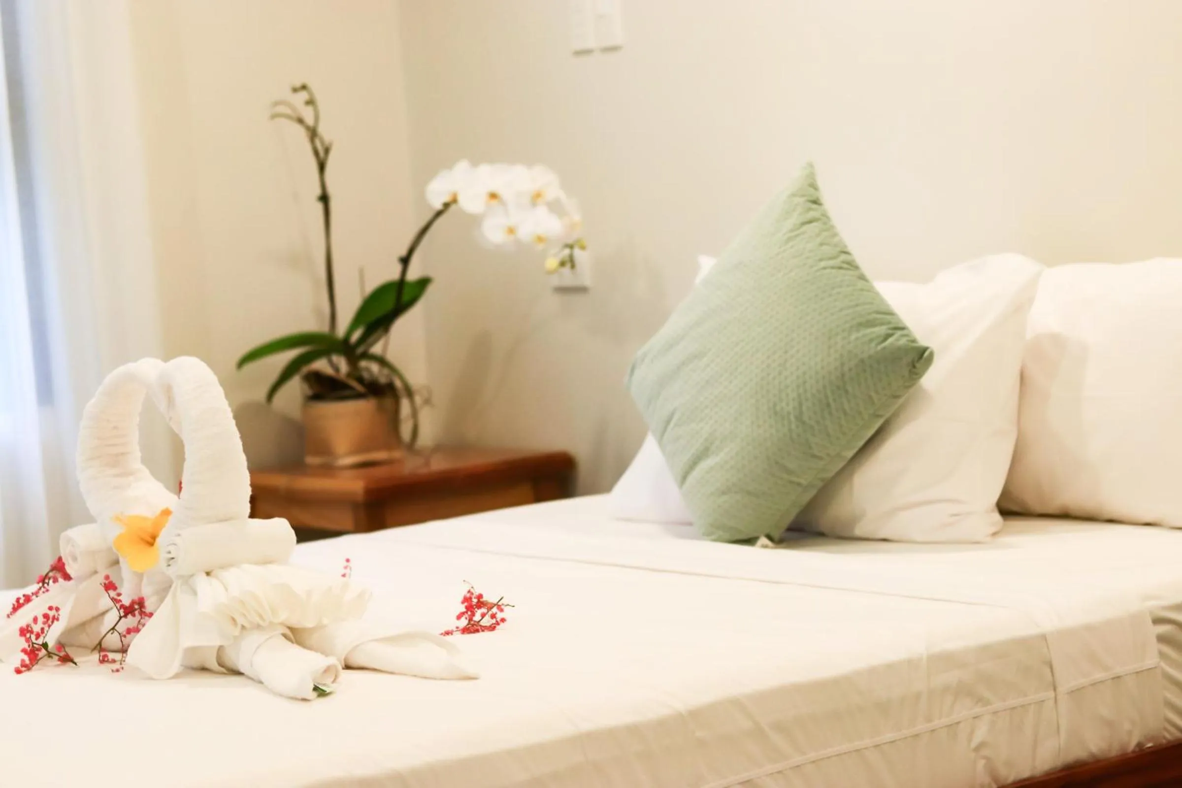 Bed in Josefina's Tourist Inn