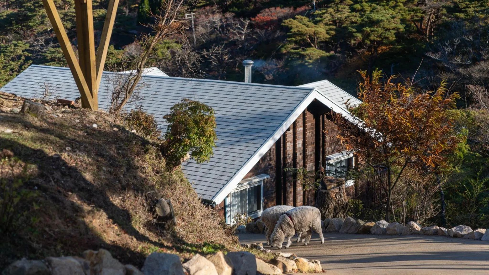 Property building in RENEST