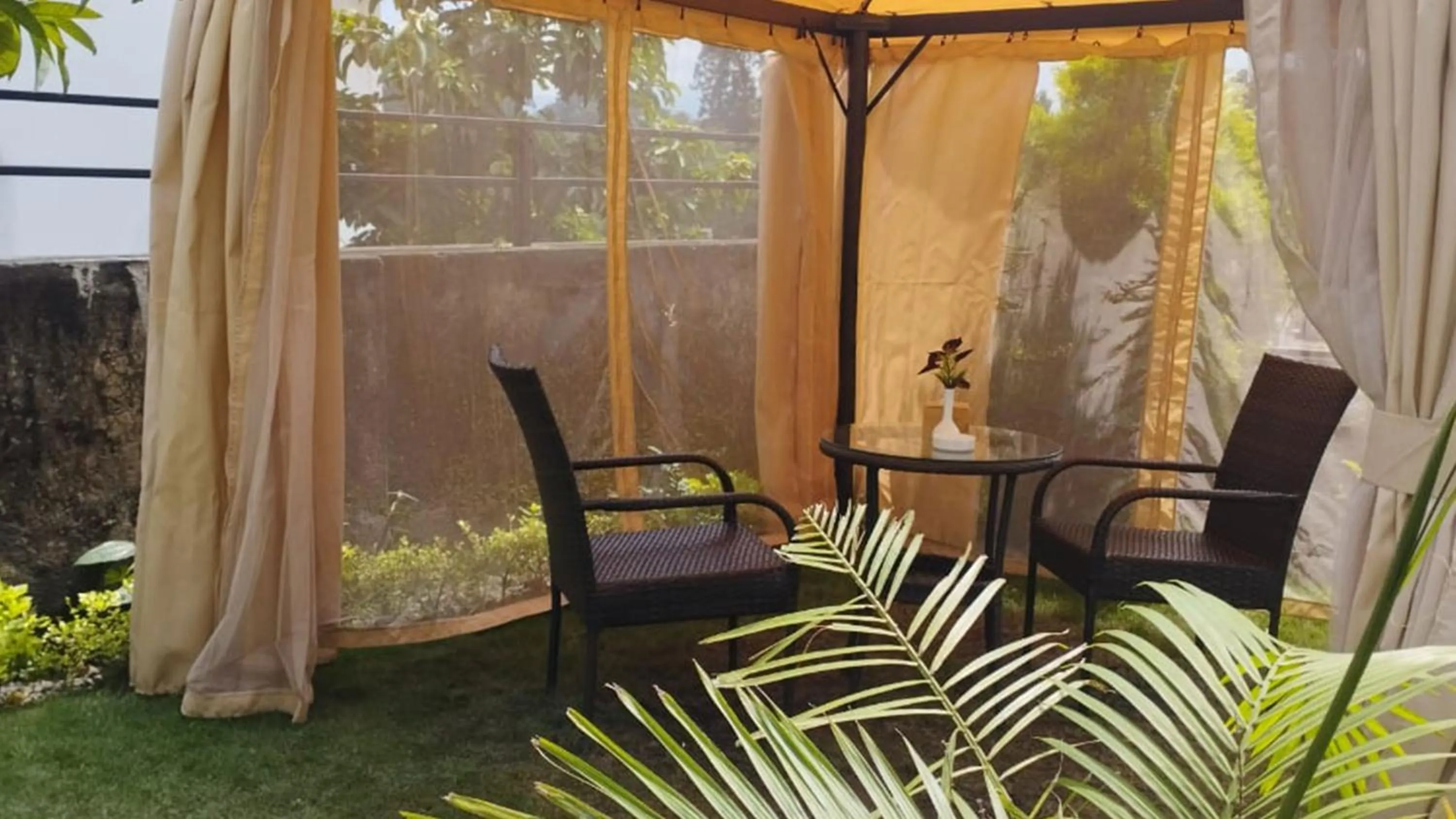 Garden in Hotel Grand View