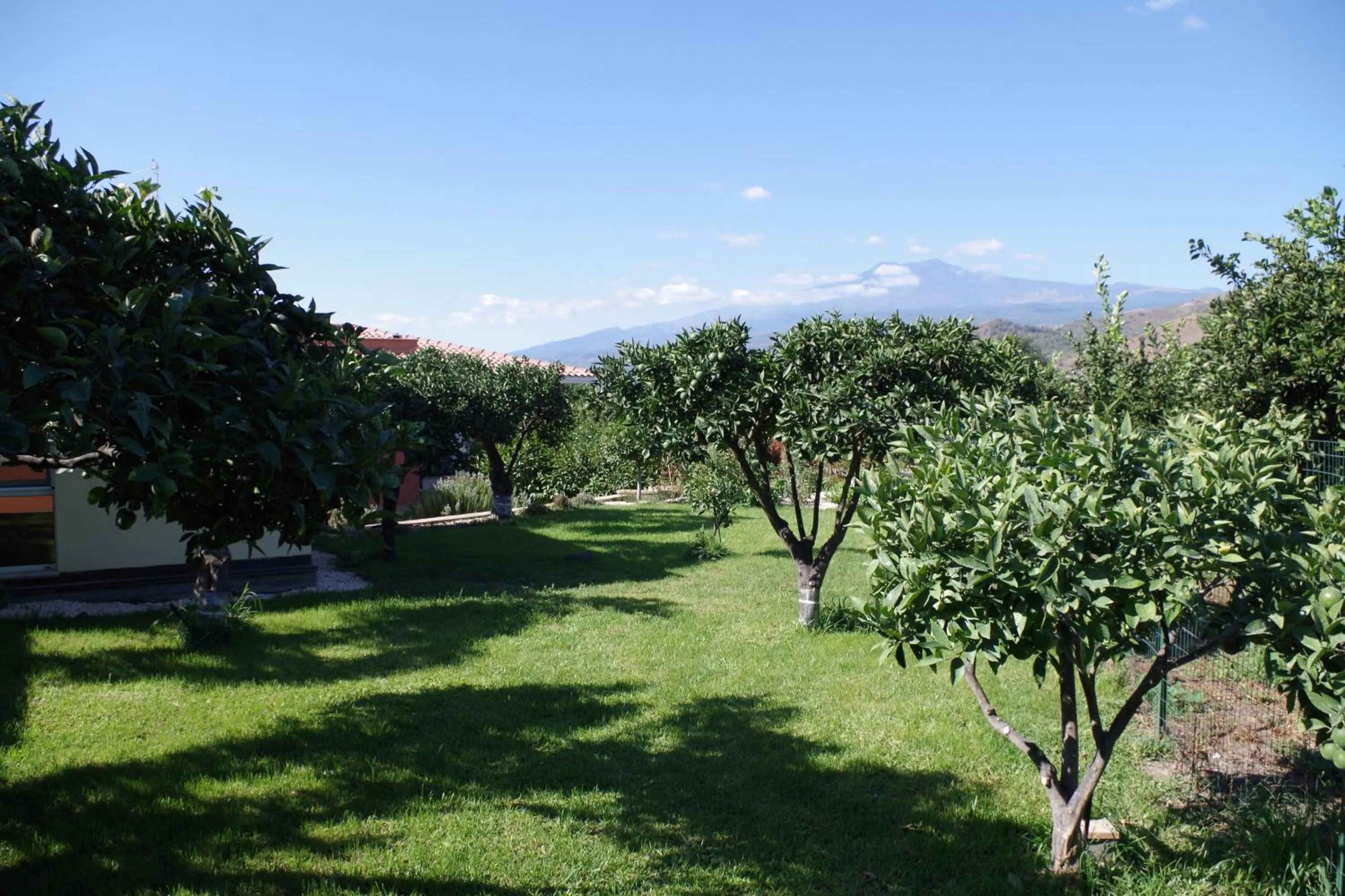Garden view in B&B Villa Valentina