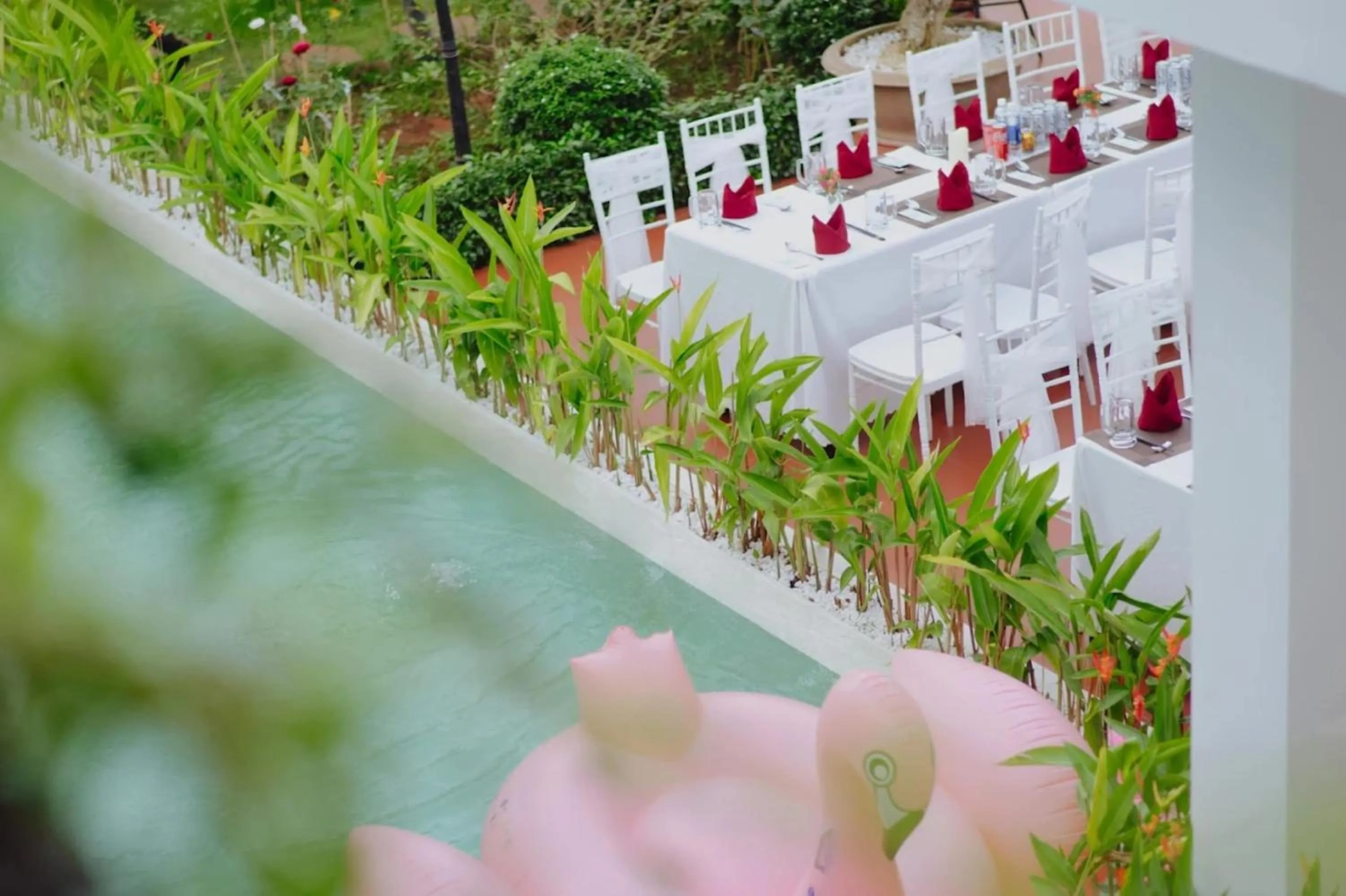 Garden in Ninh Hoa Garden