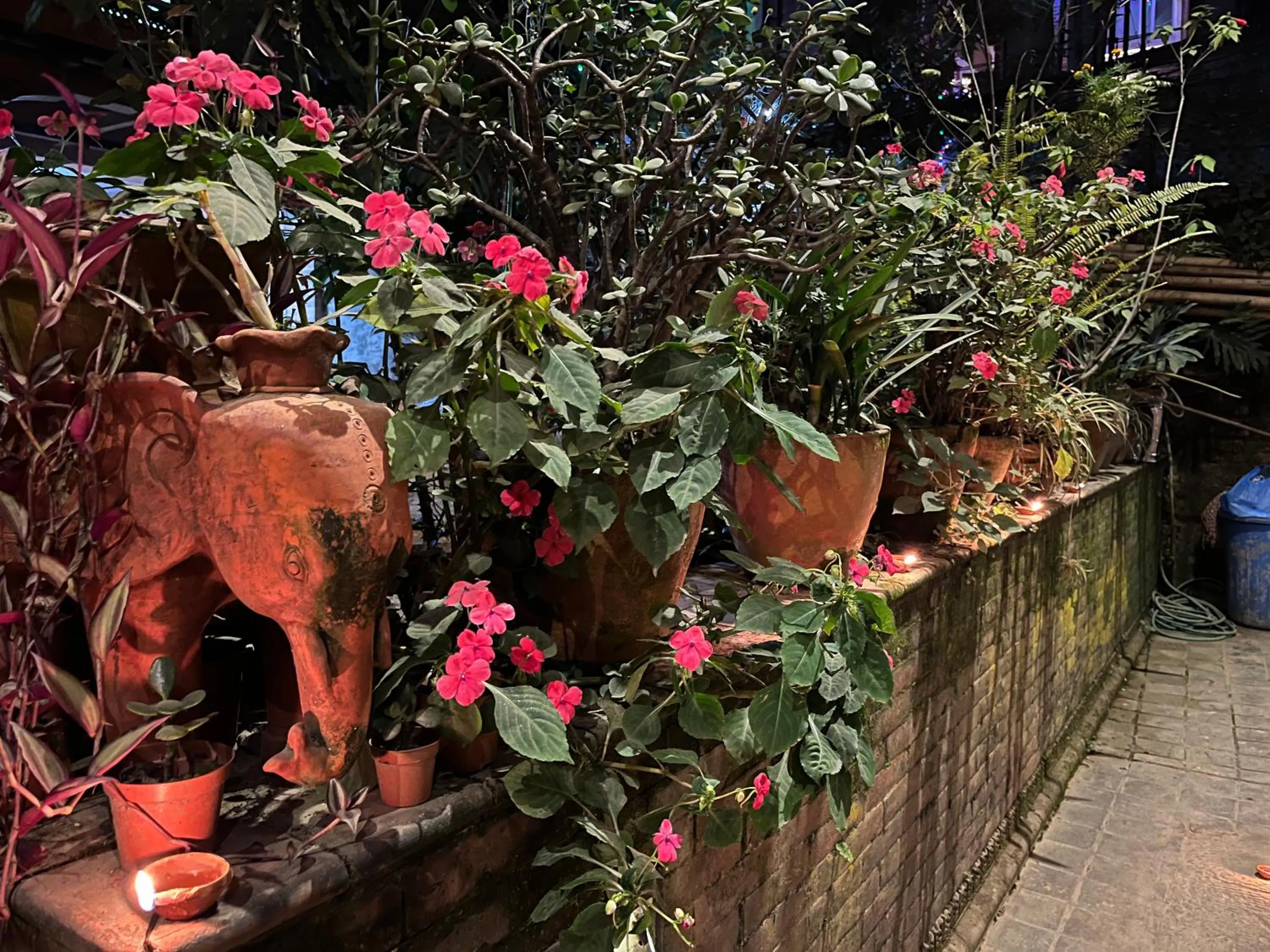 Garden in Newa Chen Historic House UNESCO