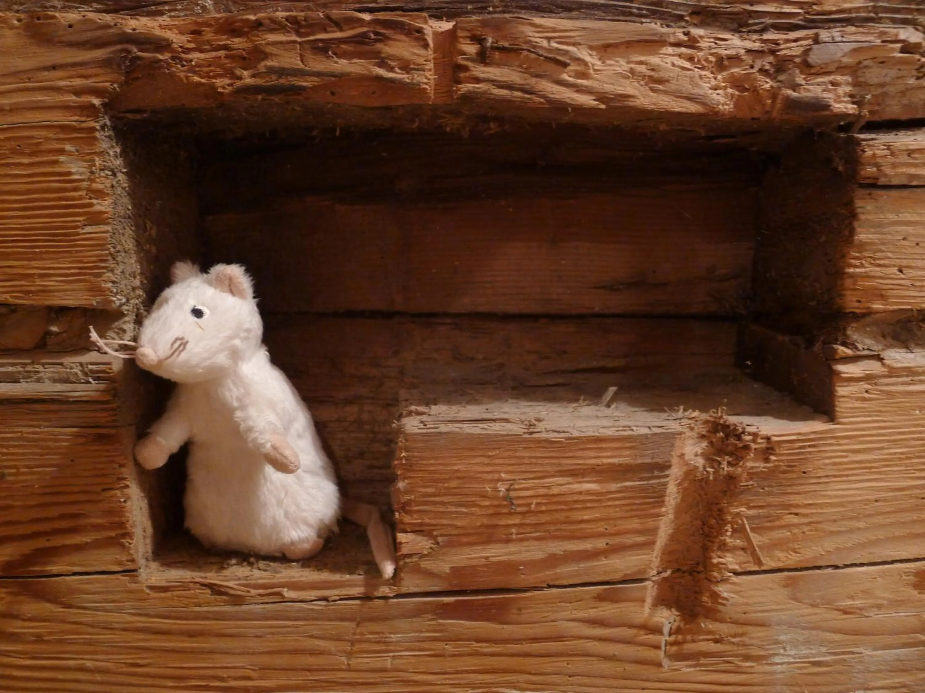 Decorative detail in Heuholzmühle Privatzimmer