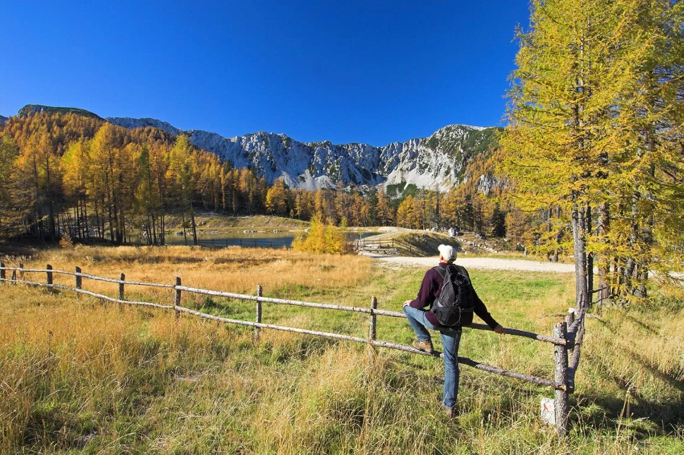 Area and facilities in Hotel Reichmann