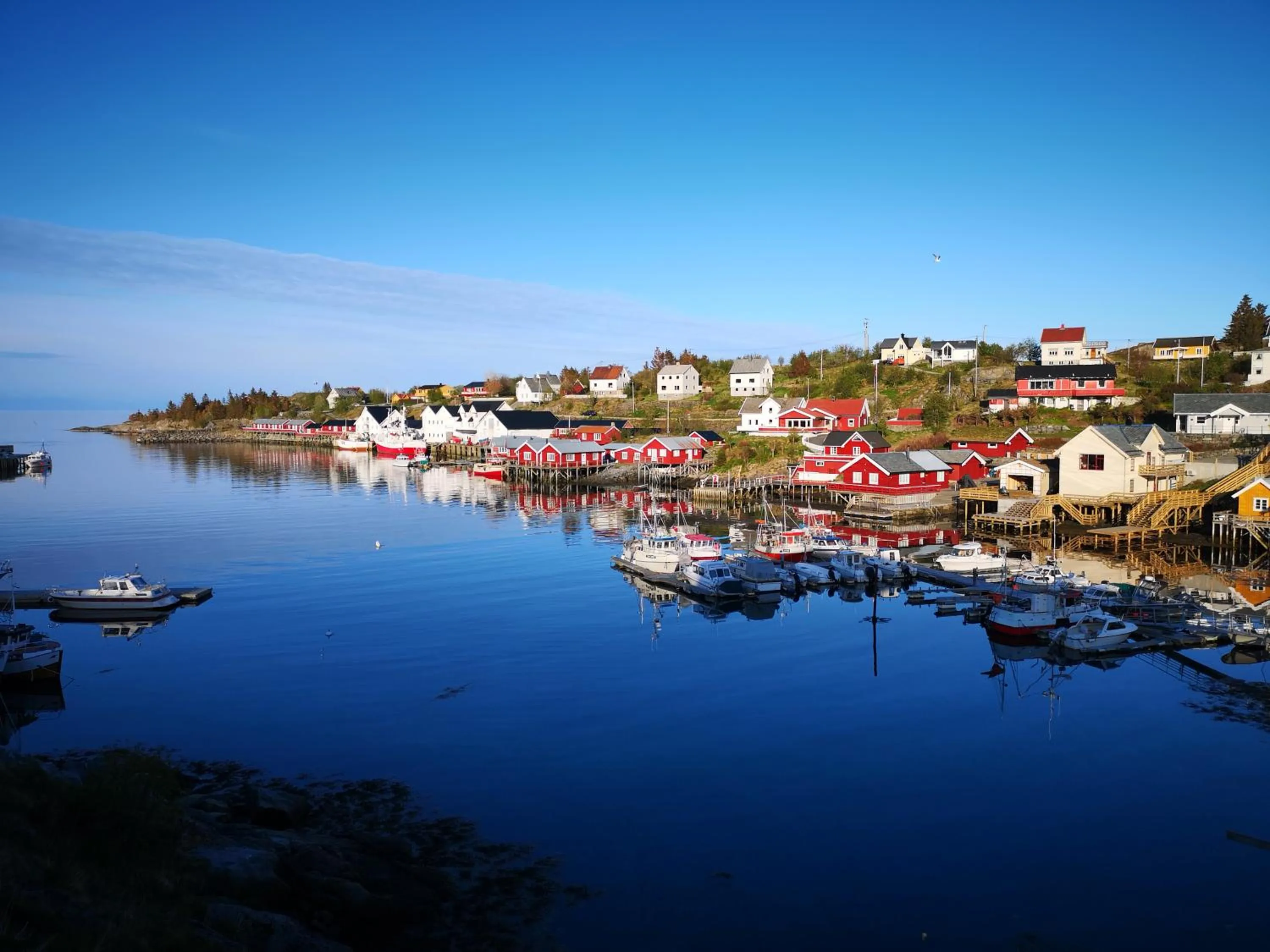 Sea view in The Tide - Rorbuer
