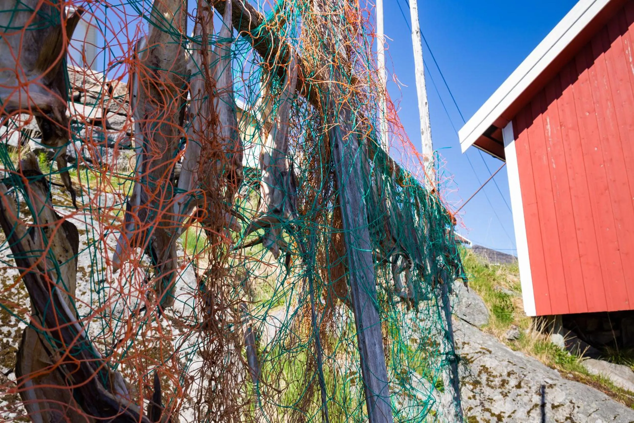 Decorative detail in The Tide - Rorbuer