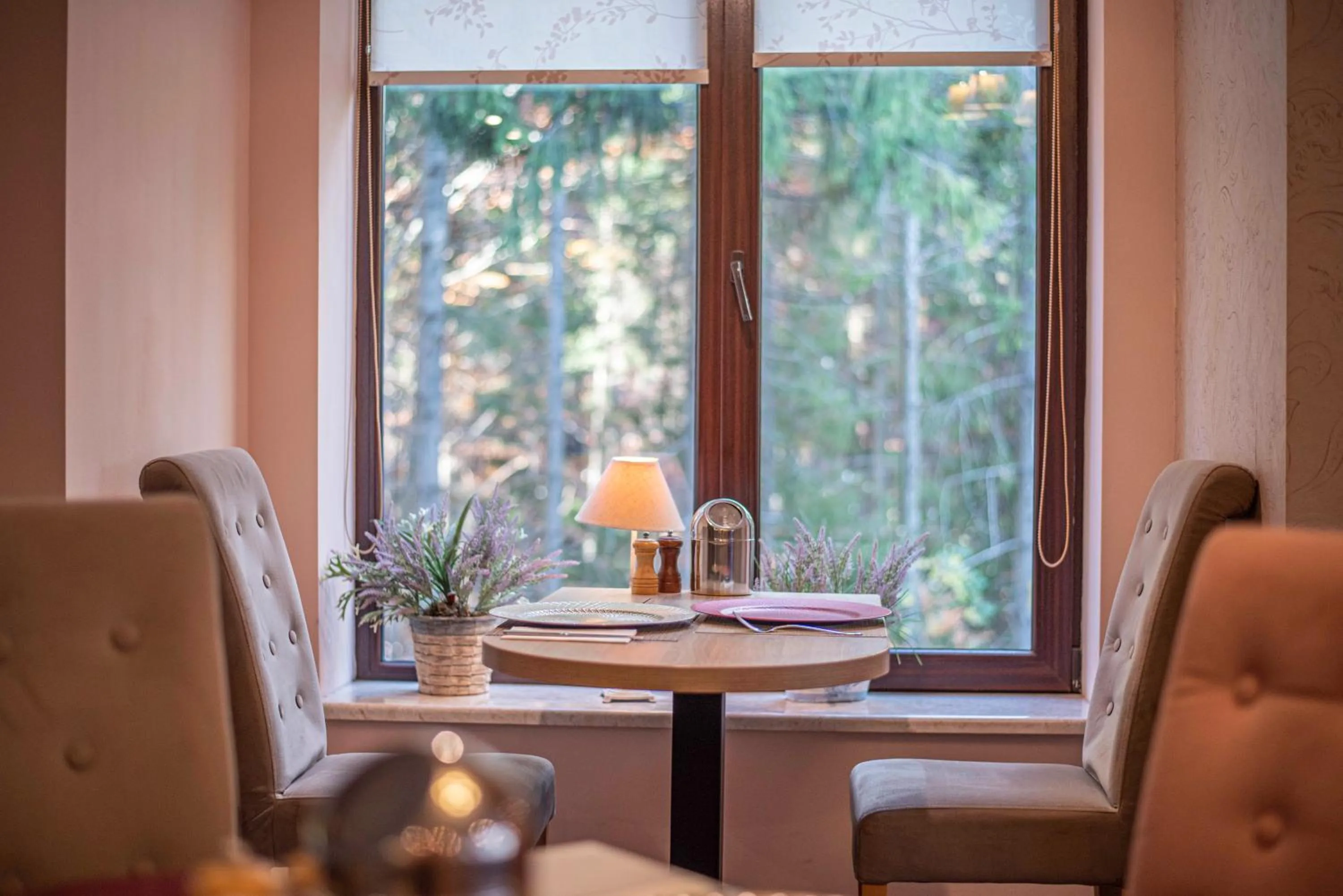 Natural landscape in Paj Hotelul Retreat & Spa