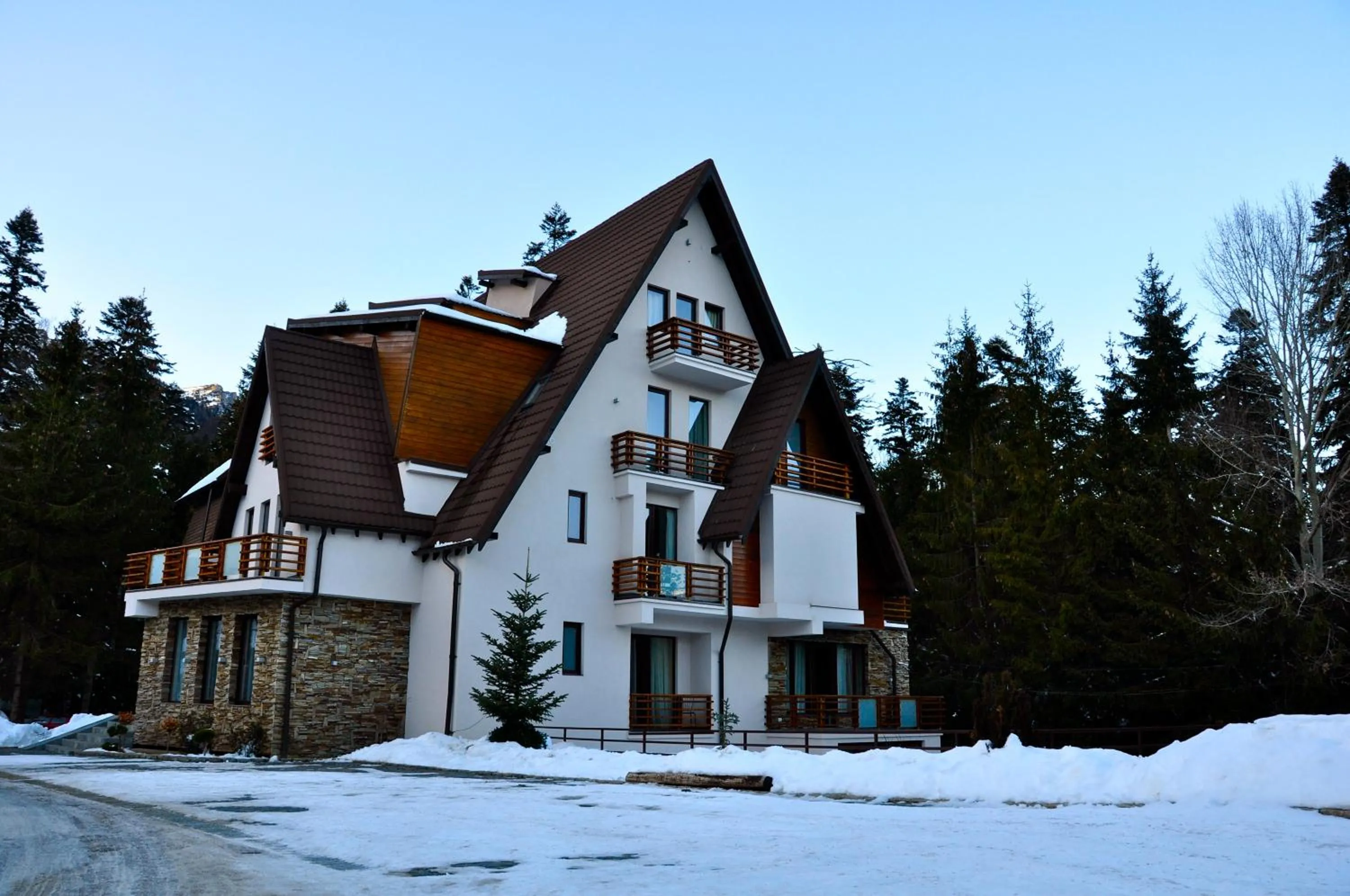 Facade/entrance in Paj Hotelul Retreat & Spa