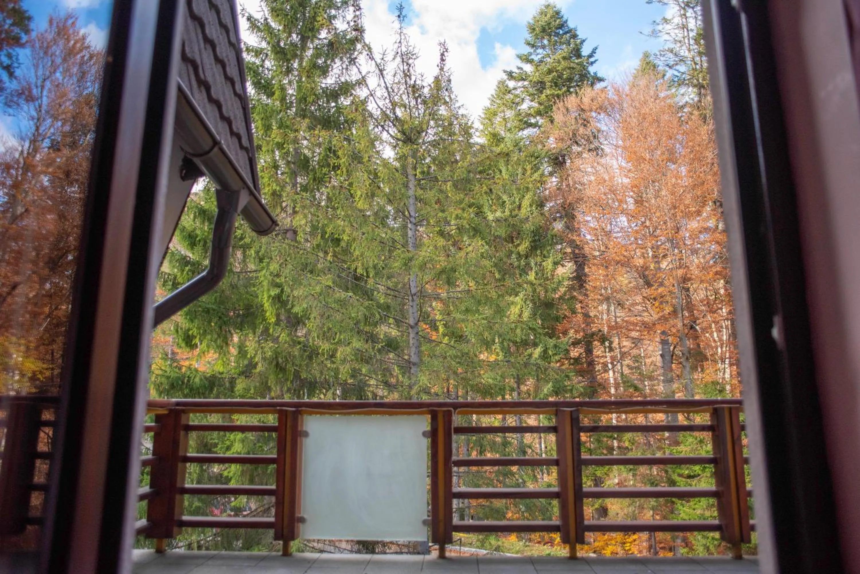 Day in Paj Hotelul Retreat & Spa