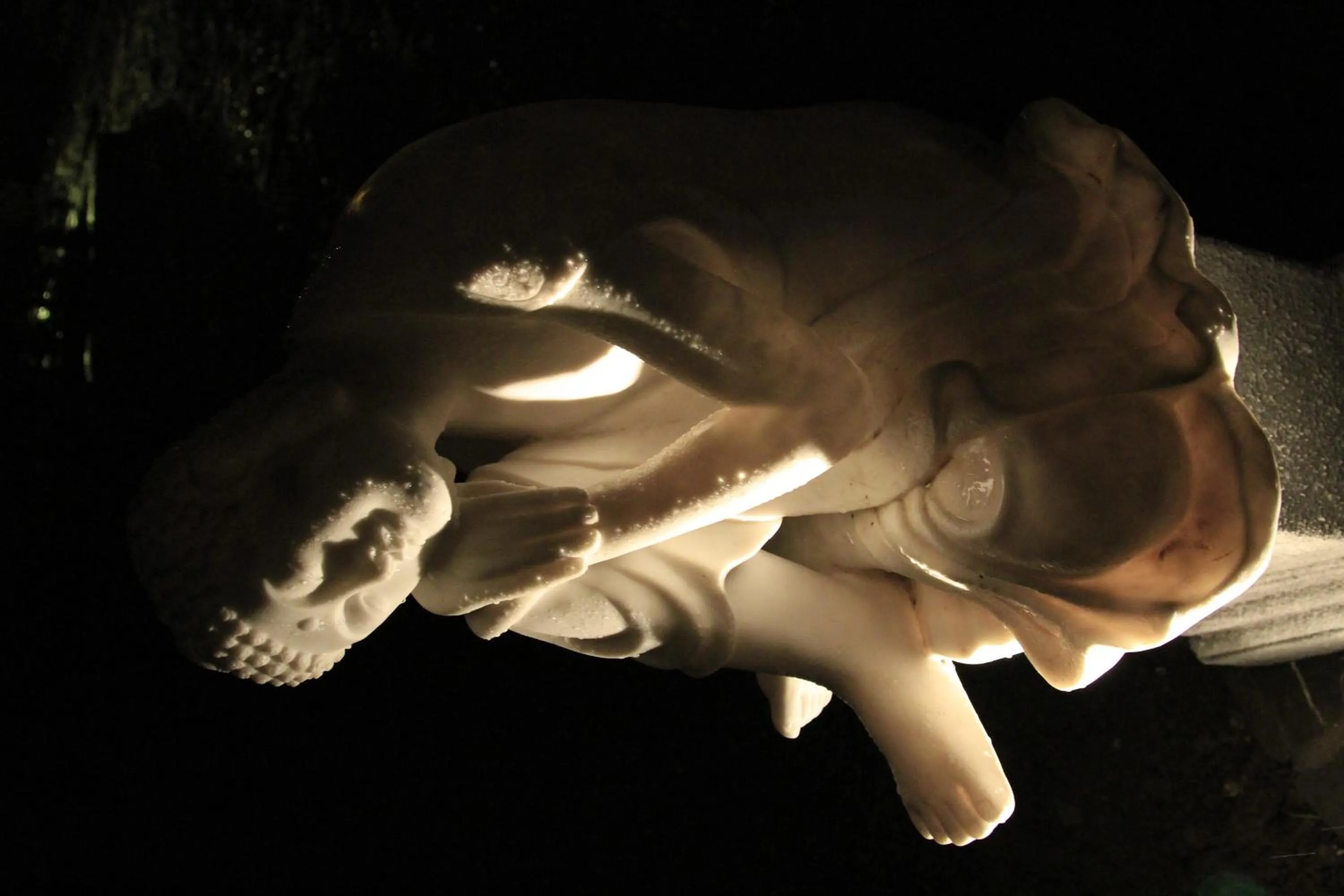 Garden in Paj Hotelul Retreat & Spa