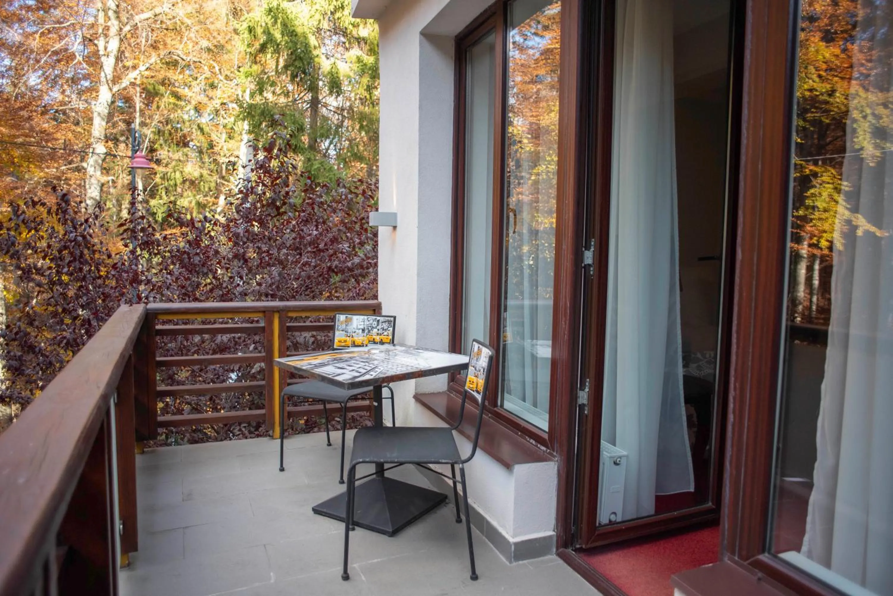 Balcony/Terrace in Paj Hotelul Retreat & Spa
