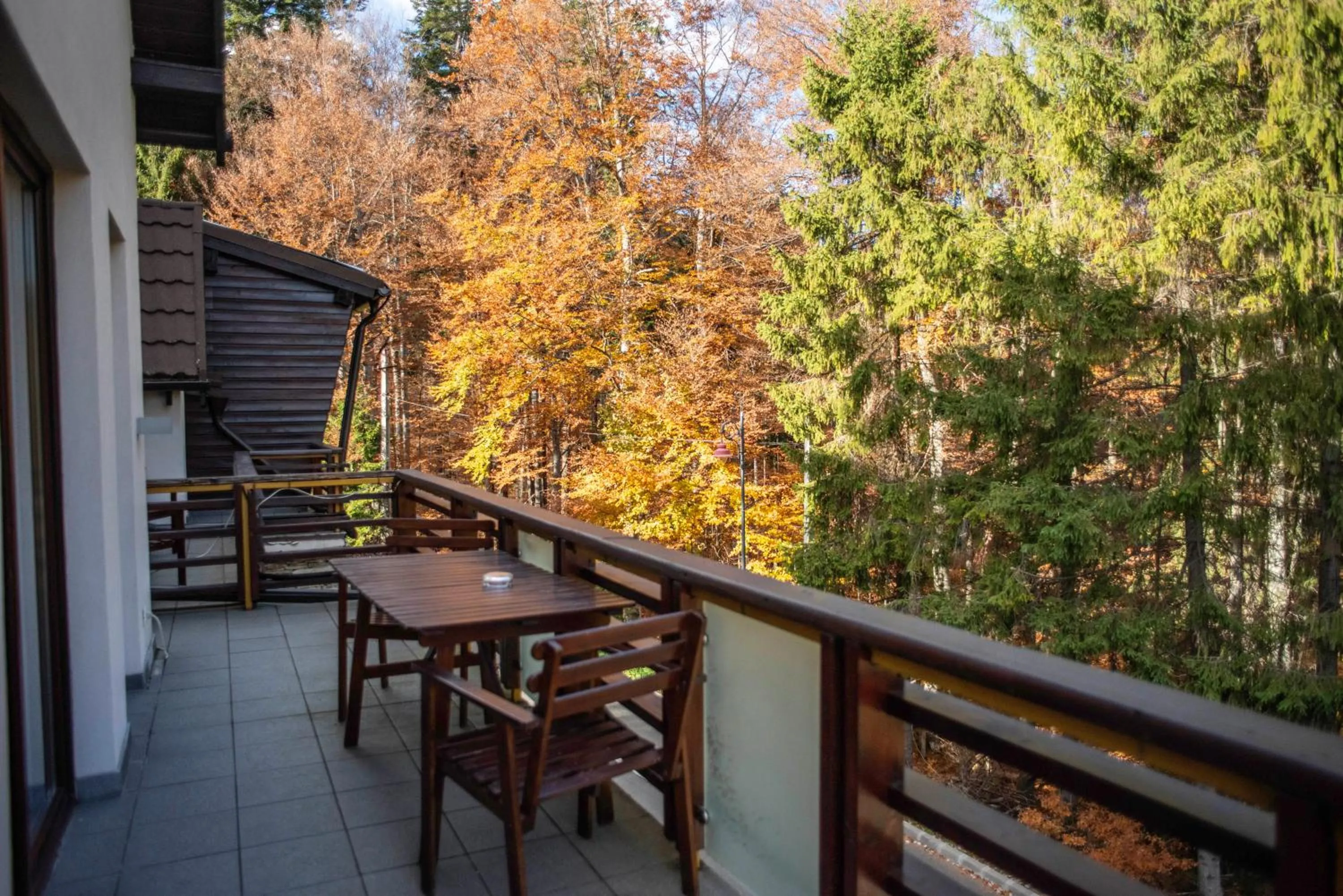 Day in Paj Hotelul Retreat & Spa