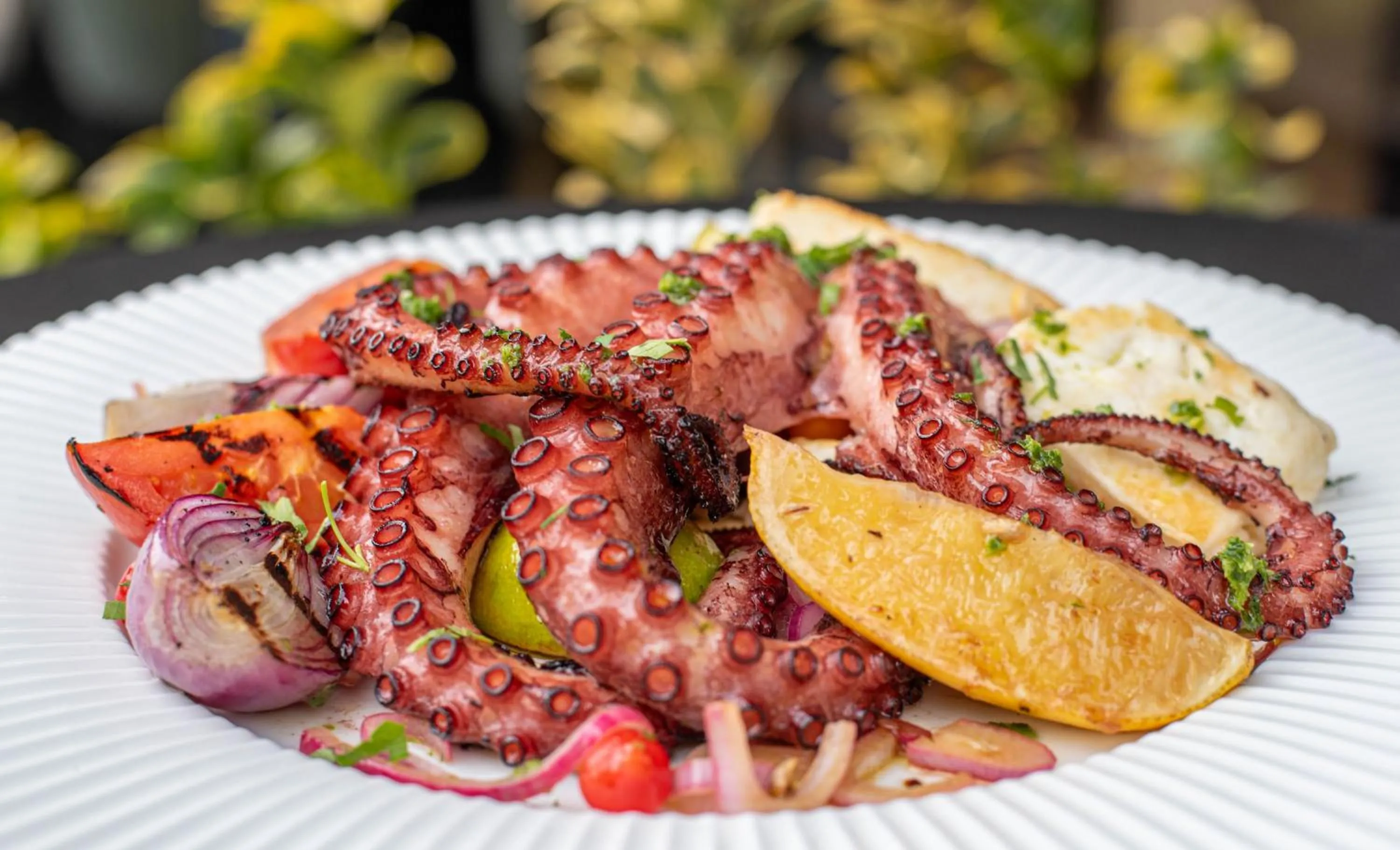 Food in Paj Hotelul Retreat & Spa