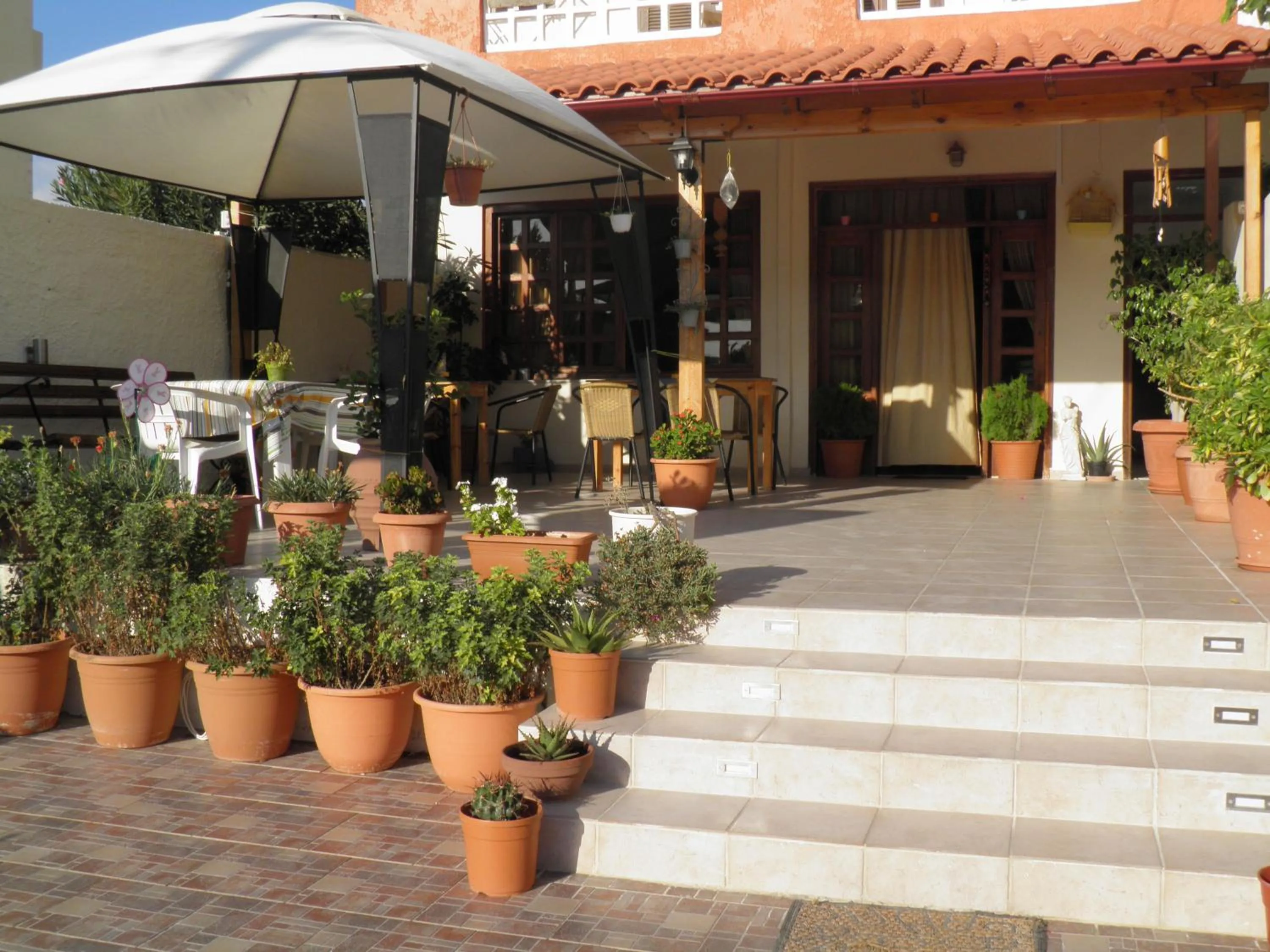 Garden in Galaxias Studios